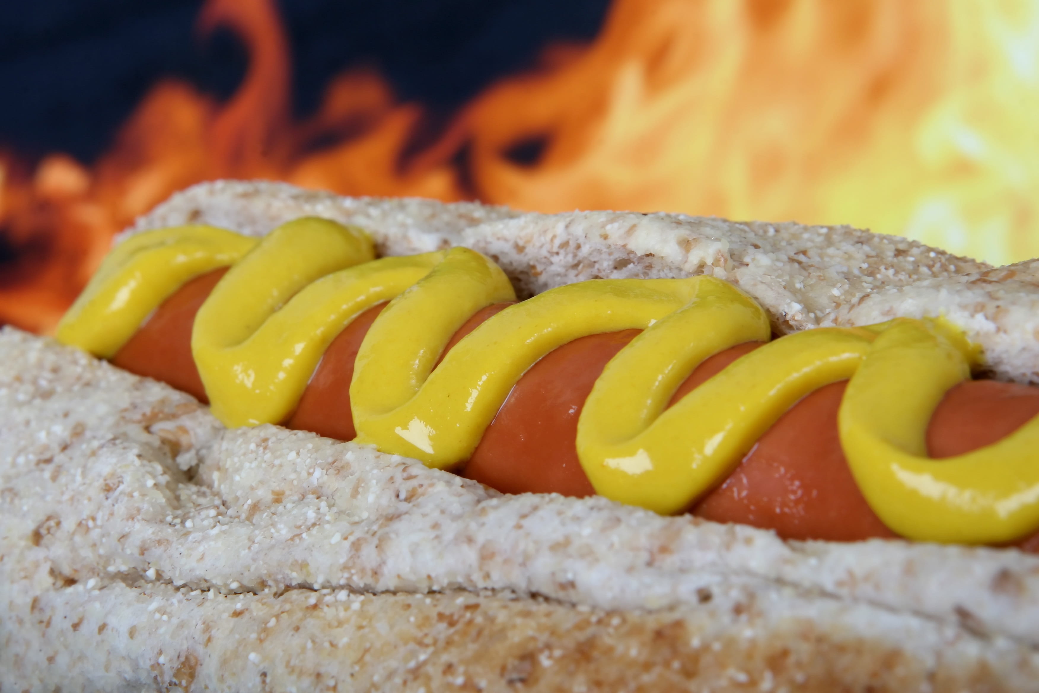 brown, close-up, fresh, barbecue, snack, Background, restaurant, photo, American, charbroiled, focus on foreground, hot dog, meal, wiener, bbq, unhealthy, HD Wallpaper