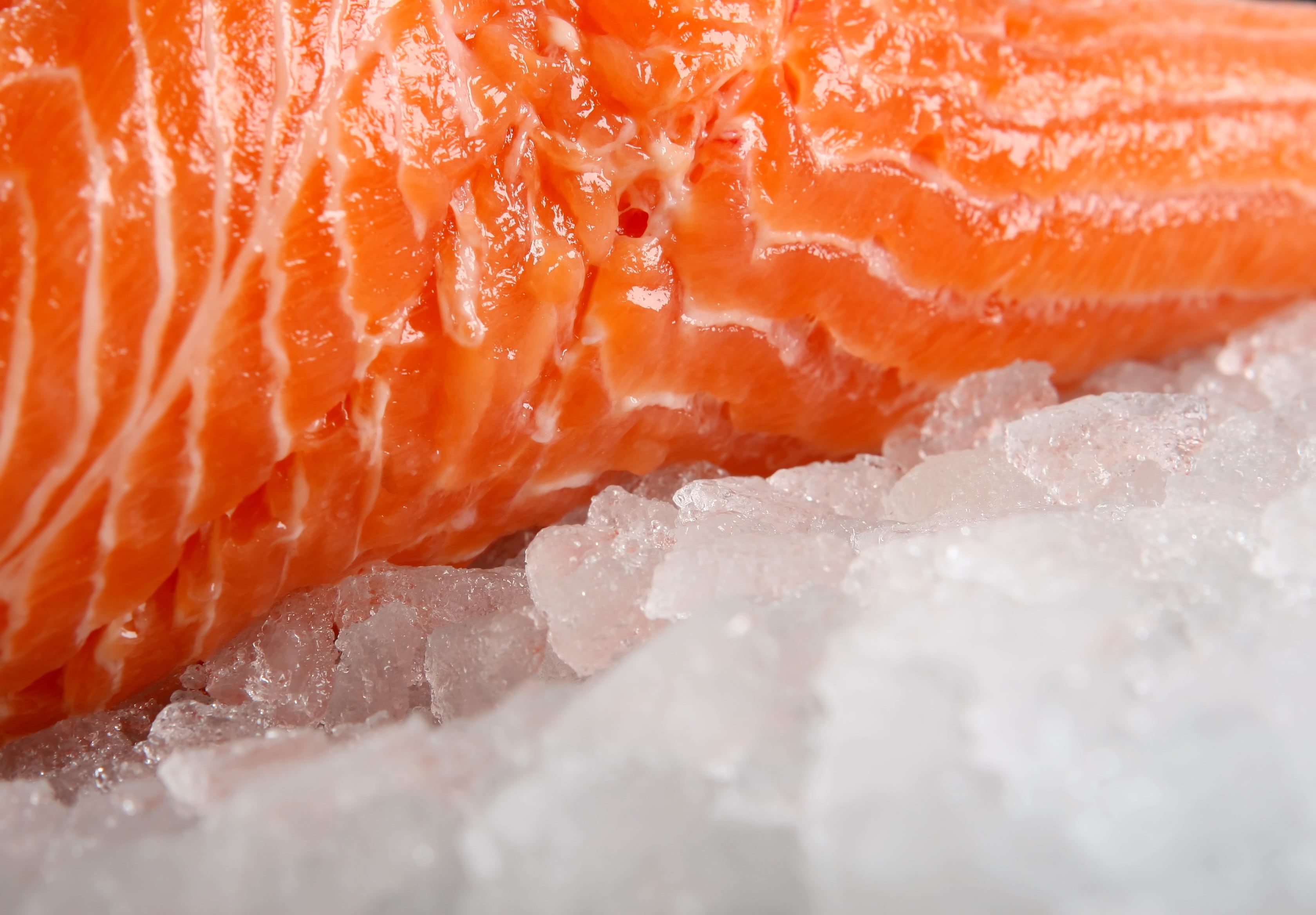 orange, health, scales, haddock, nature, food and drink, close-up, ice, summer, white, mackerel, oil, meat, medium, bass, beach, water, full frame, frozen, HD Wallpaper
