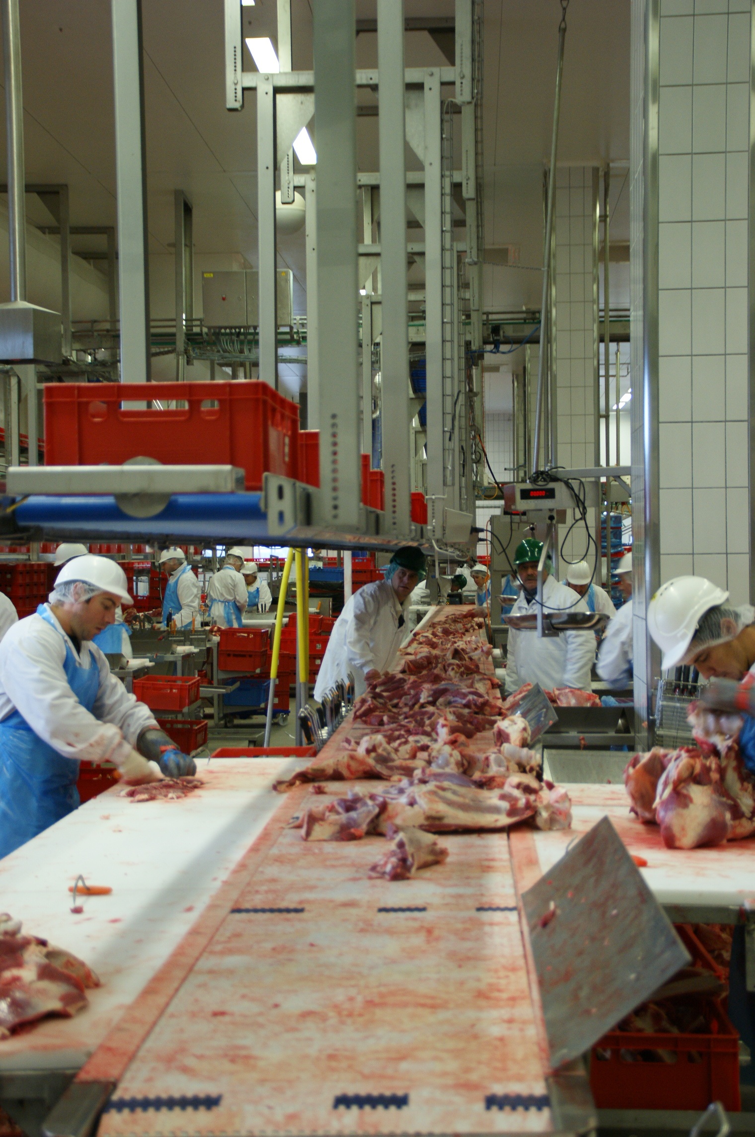 fish, raw food, slaughterhouse, table, preparing food, messy, men, business, seafood, working, people, inside, butchers, real people, 1080P, standing, Phone HD Wallpaper