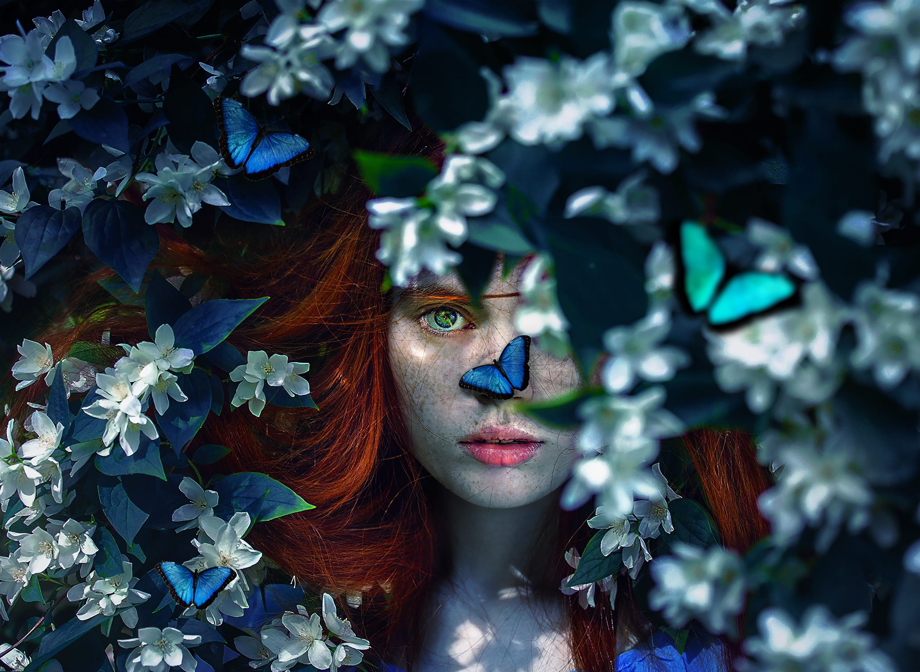 art, adult, young adult, night, close-up, one person, beauty, plant, growth, light, young women, leaf, plant part, tree, portrait, green eye, flowering plant, HD Wallpaper