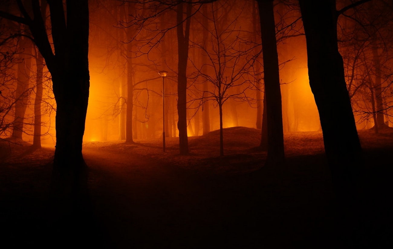 Estonia, 720P, lights, mist, path, night, photography, park, trees, red, landscape, nature, HD Wallpaper
