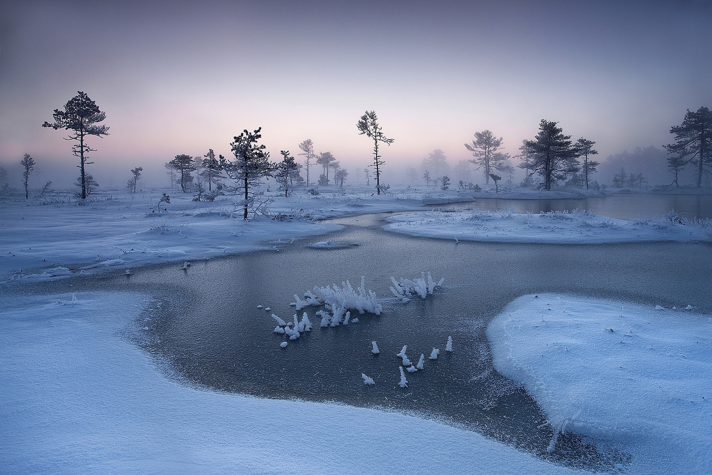 cold, snow, landscape, 1080P, Estonia, nature, calm, river, mist, frost, winter, trees, HD Wallpaper