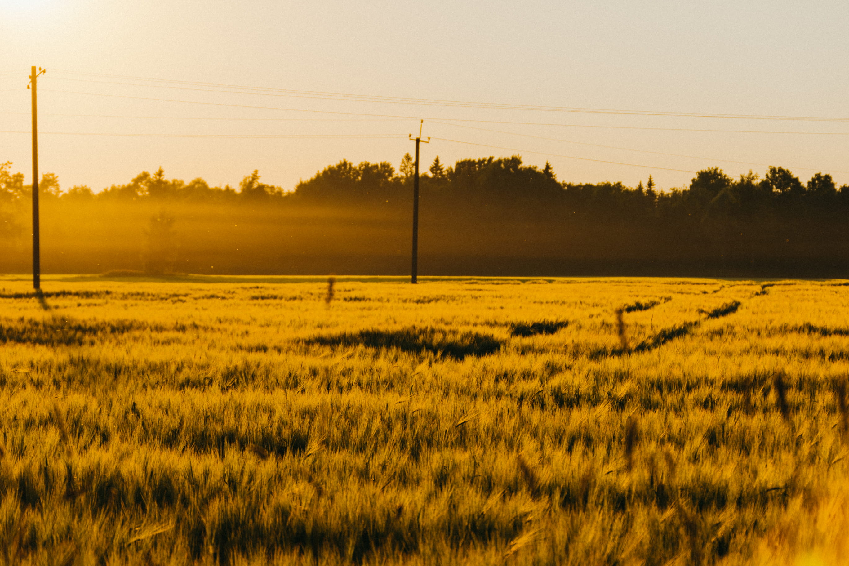 field, outdoors, power supply, sky, scenics - nature, landscape, environment, telephone line, technology, land, tree, tranquil scene, estonia, tranquility, HD Wallpaper