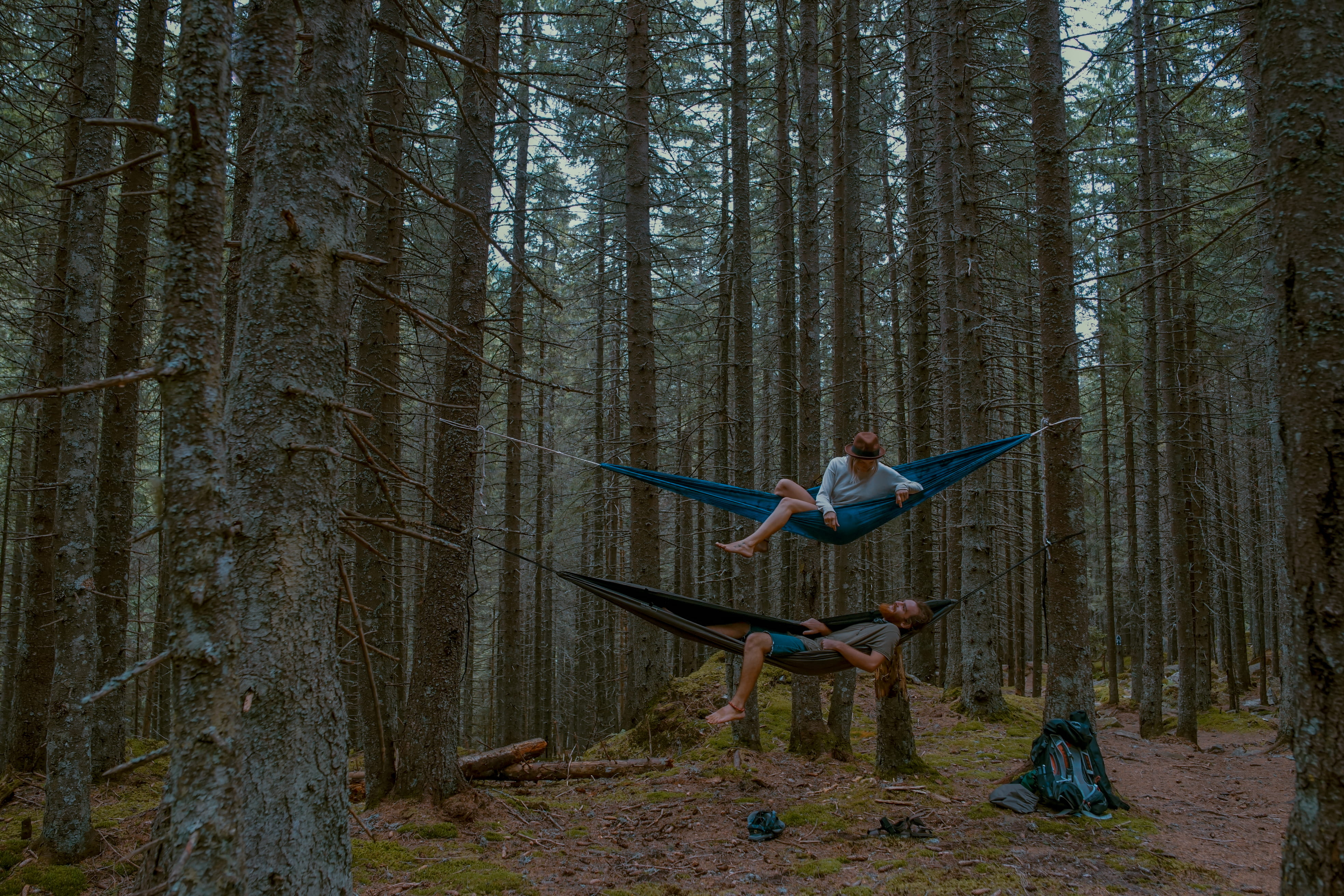 one person, camp, outdoor, men, lying, adult, lifestyles, hangout, romanium, land, trunk, traveling, dark green, tree, 4K, black, plant, day, woods, standing, HD Wallpaper