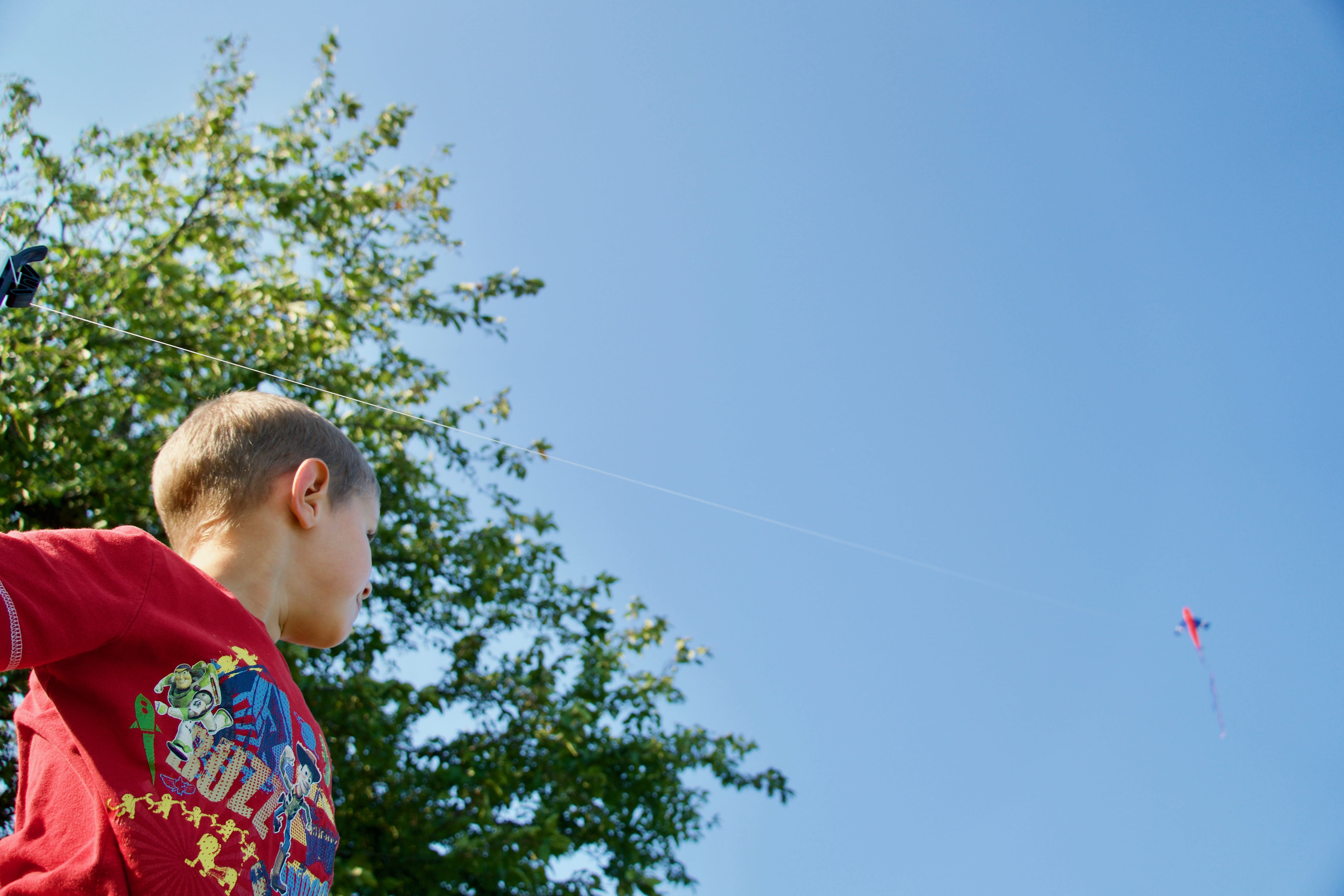 summer, day, plant, boy, cute, child, landscape, males, adorable, tree, childhood, having fun, 5K, enjoyment, daylight, one person, young, boys, sky, men, HD Wallpaper