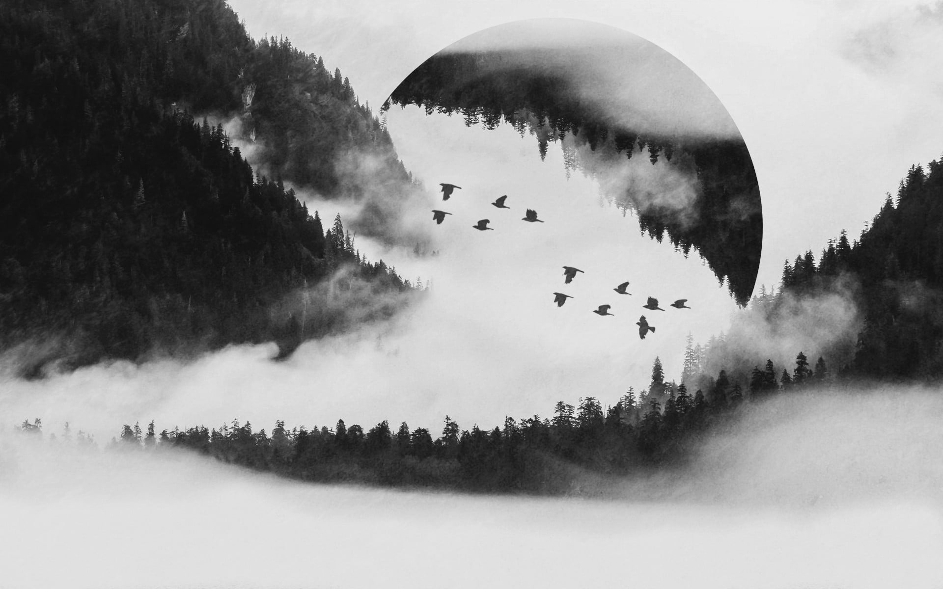 environment, smoke - physical structure, bird, grayscale, birds, tree, photo, nature, plant, landscape, field, built structure, building exterior, architecture, HD Wallpaper