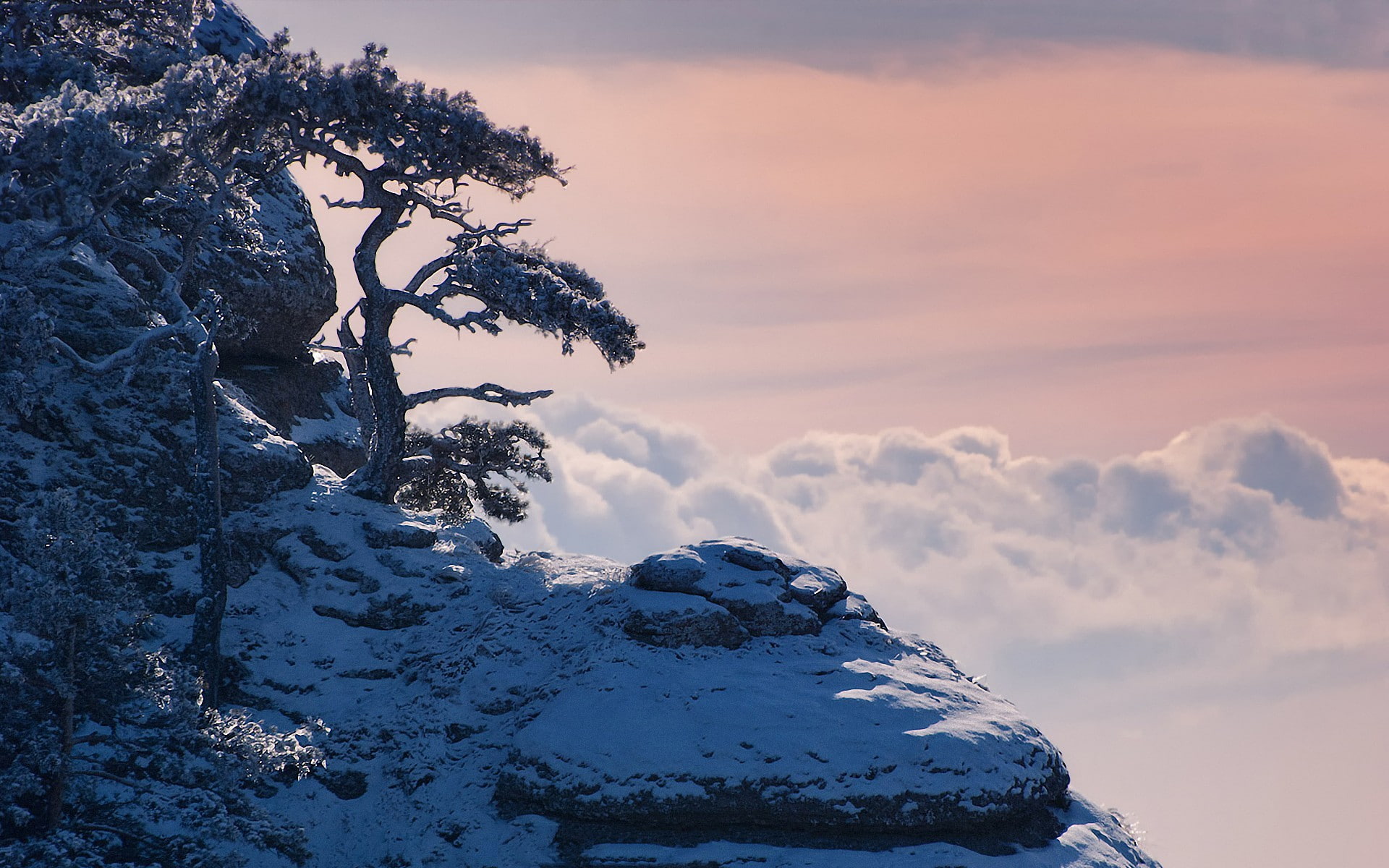 photo manipulation, 1080P, HD Wallpaper