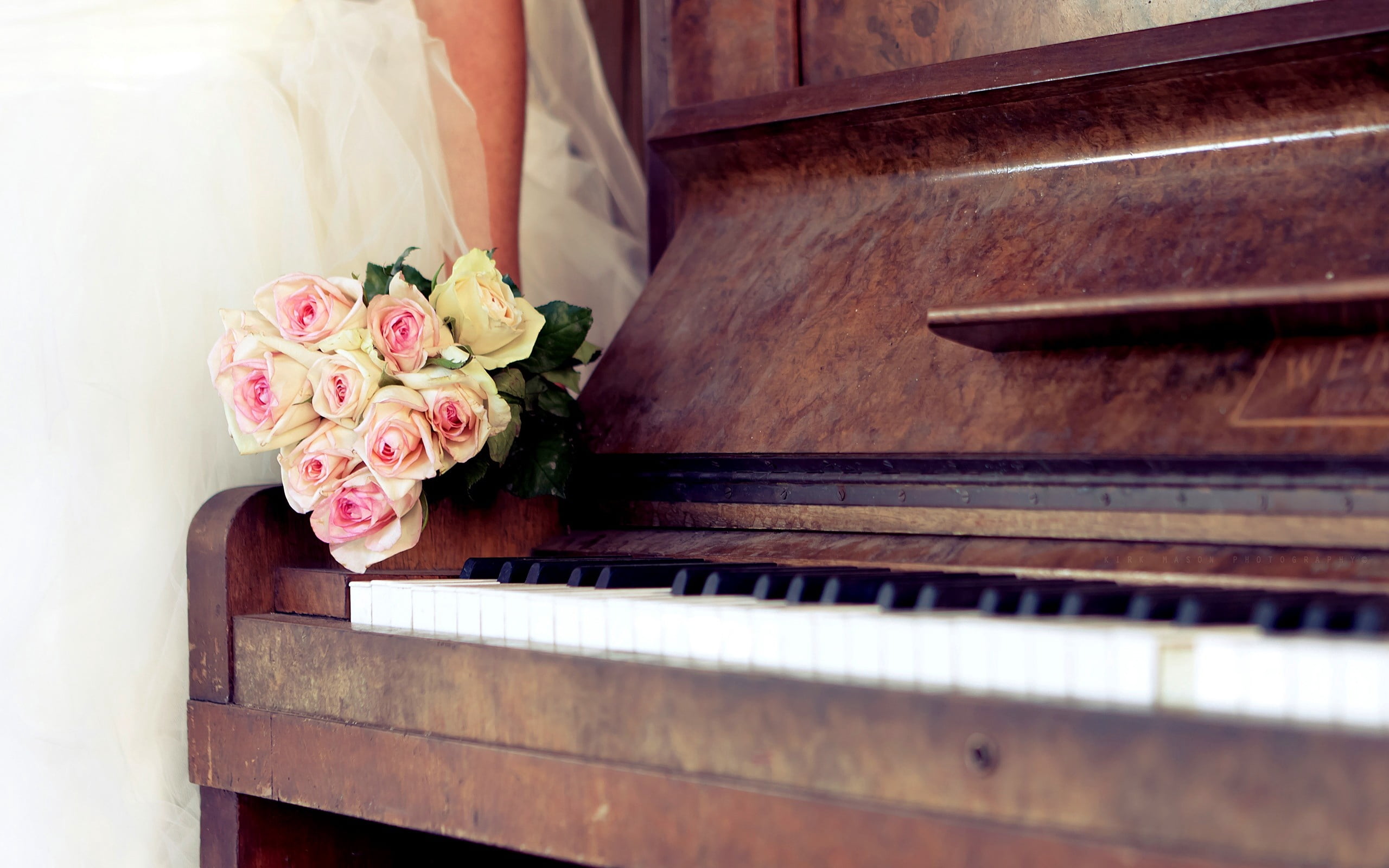 keyboard, white, pink, women, arts culture and entertainment, vulnerability, flowering plant, beauty in nature, classical Music, musical equipment, elegance, HD Wallpaper