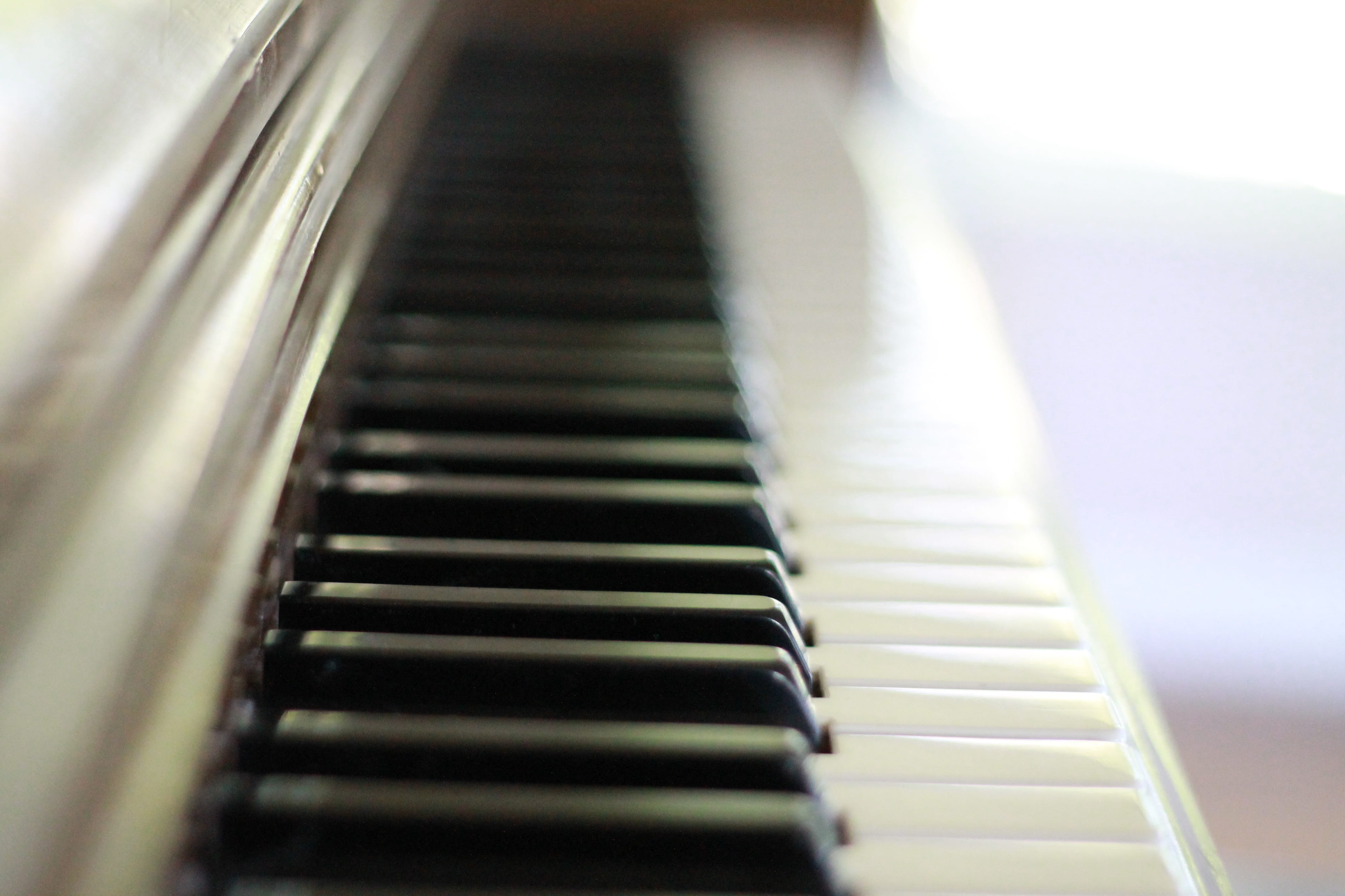 note, arts culture and entertainment, sound, white color, in a row, 4K, sunlight, ivory, instrument, musical, black, selective focus, keyboard, piano keys, HD Wallpaper