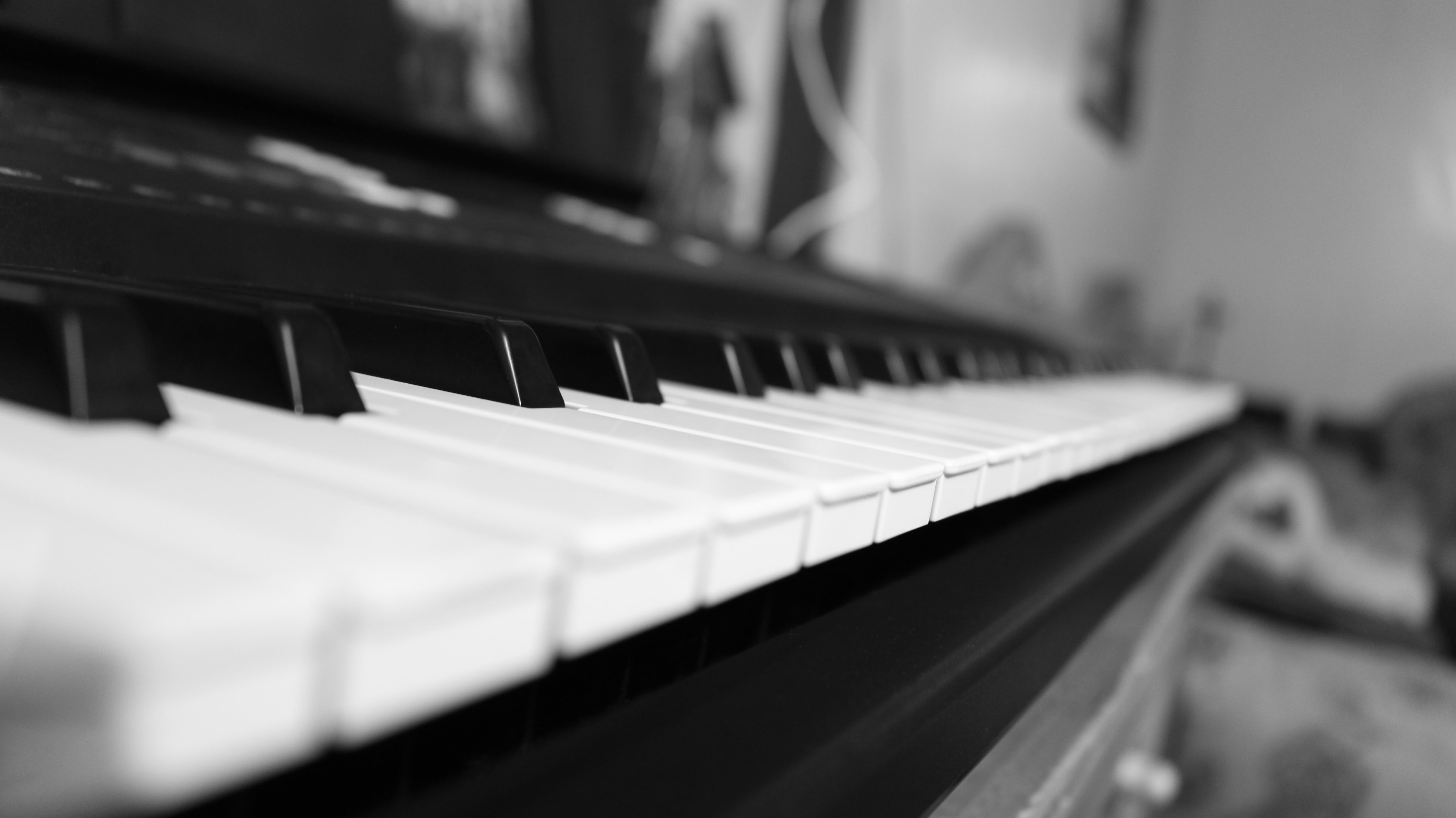 white color, performance, musical instrument, motion, no people, ivory, song, classical style, playing, music, single object, harmony, piano key, keyboard instrument, HD Wallpaper