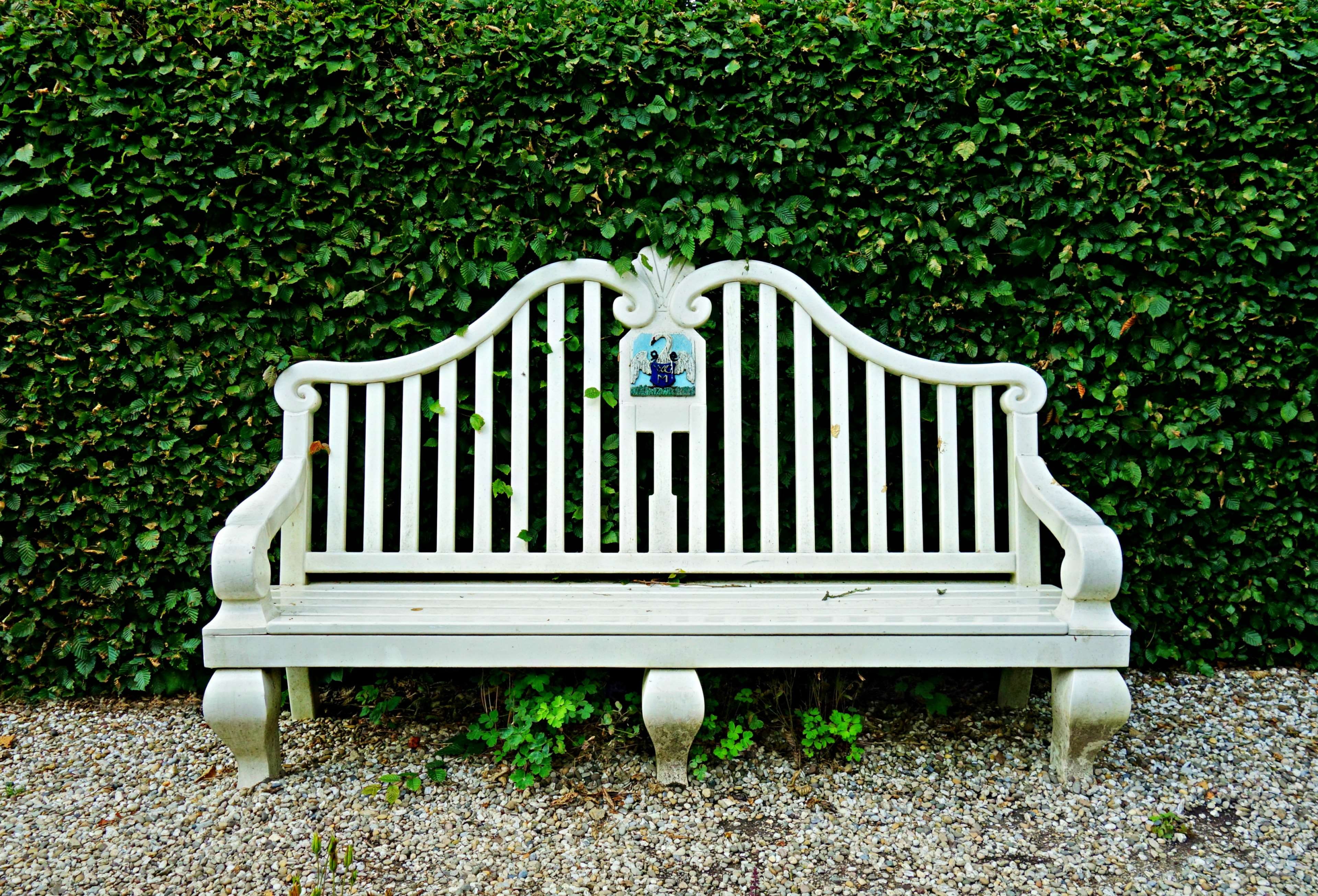 park, hedge, growth, garden, day, plant, garden furniture, white color, bench, chair, front, wood, sitting, empty, outdoors, decoration, no people, classic, HD Wallpaper