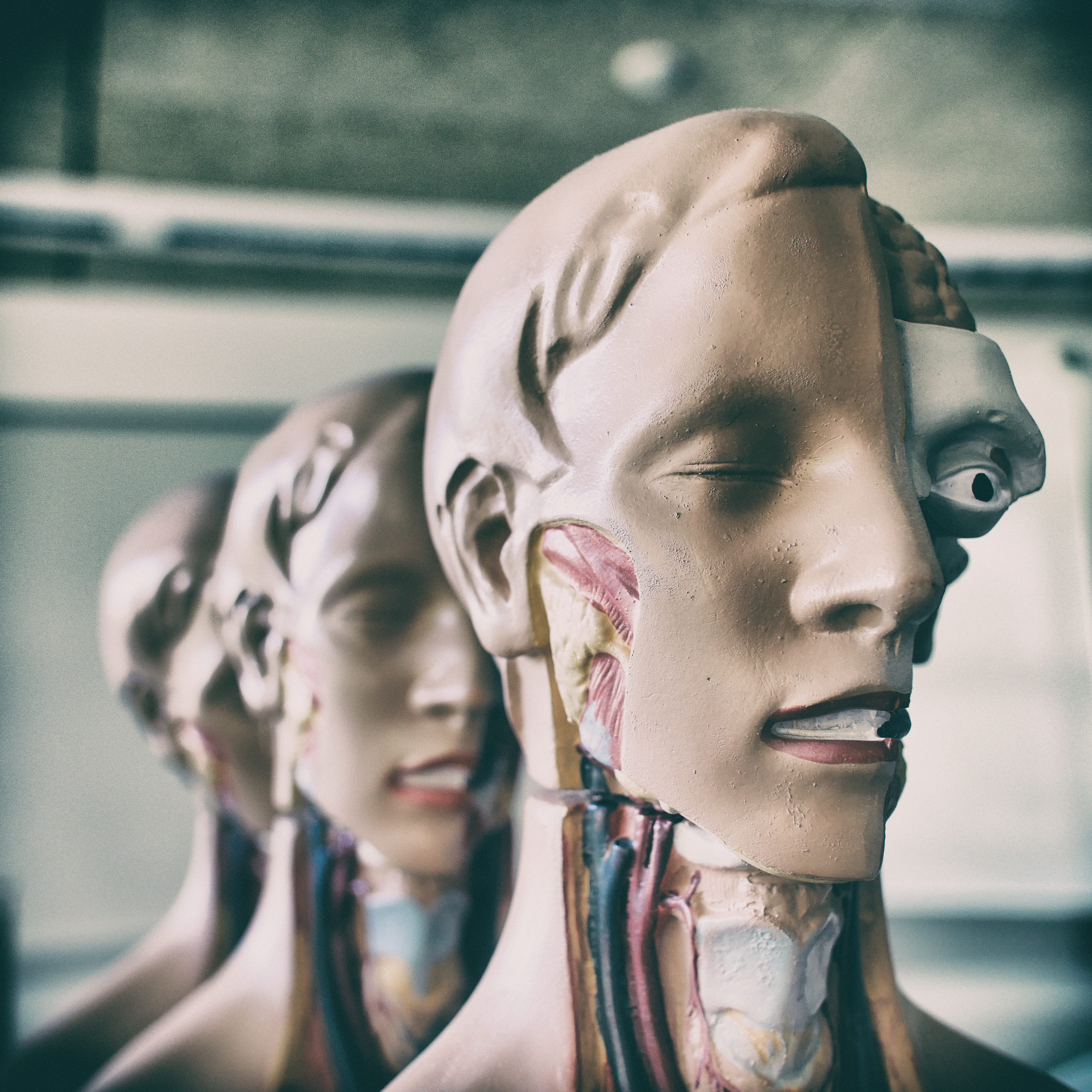 fashion, body part, headshot, art and craft, indoors, female likeness, human face, portrait, mannequin, human body part, anatomy, brave, statue, model, Phone HD Wallpaper