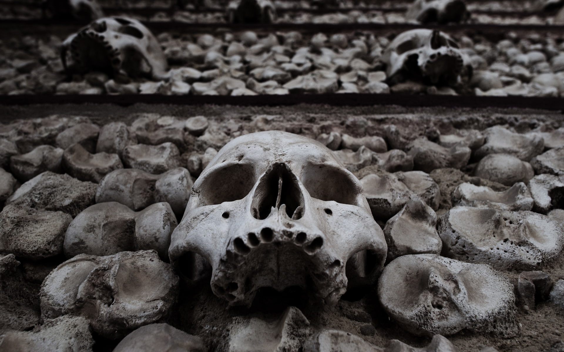 dead, horror, scary, skulls, halloween, fantasy, creepy, eyes, dark, death, spooky, face, skeleton, black, white, 1080P, HD Wallpaper