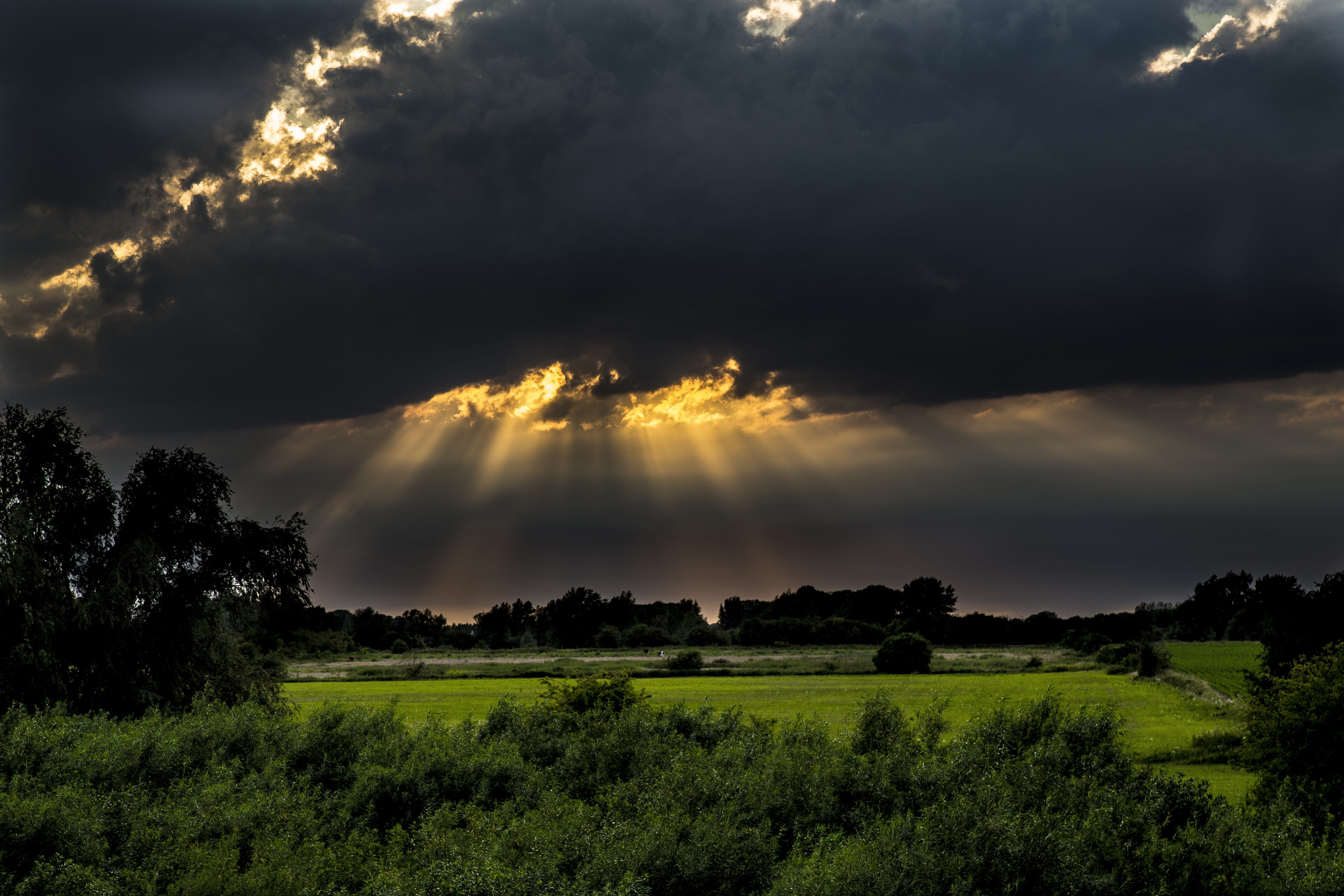 green, no people, tree, black, clouds, sunlight, daytime, Setting Sun, scenics, air, dark, grass, 5K, tranquility, non-Urban Scene, environment, forest, HD Wallpaper
