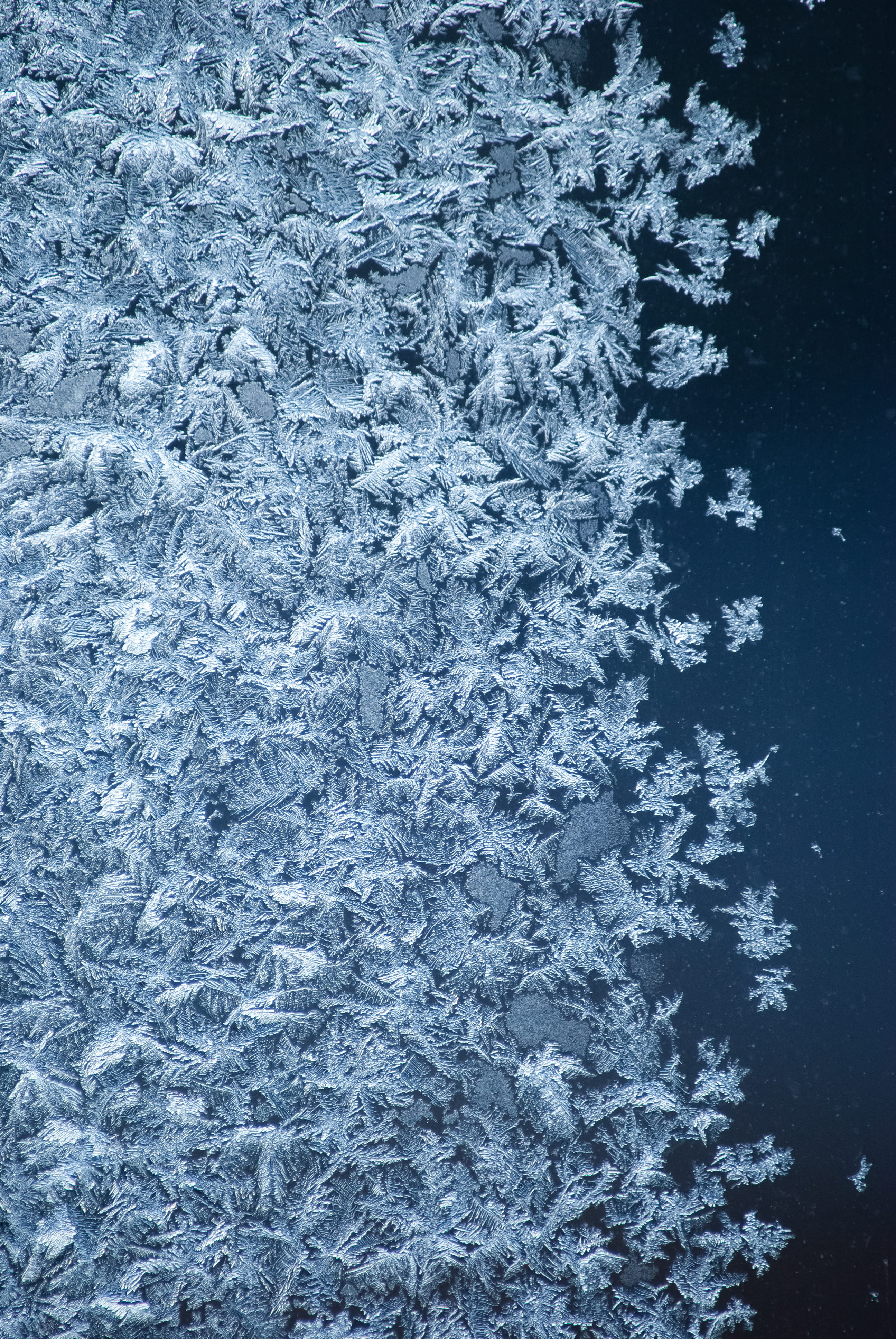 ice, snowflake, cold temperature, beauty in nature, frost, backgrounds, snowflakes, pattern, day, 4K, abstract, high angle view, waterfront, full frame, Phone HD Wallpaper