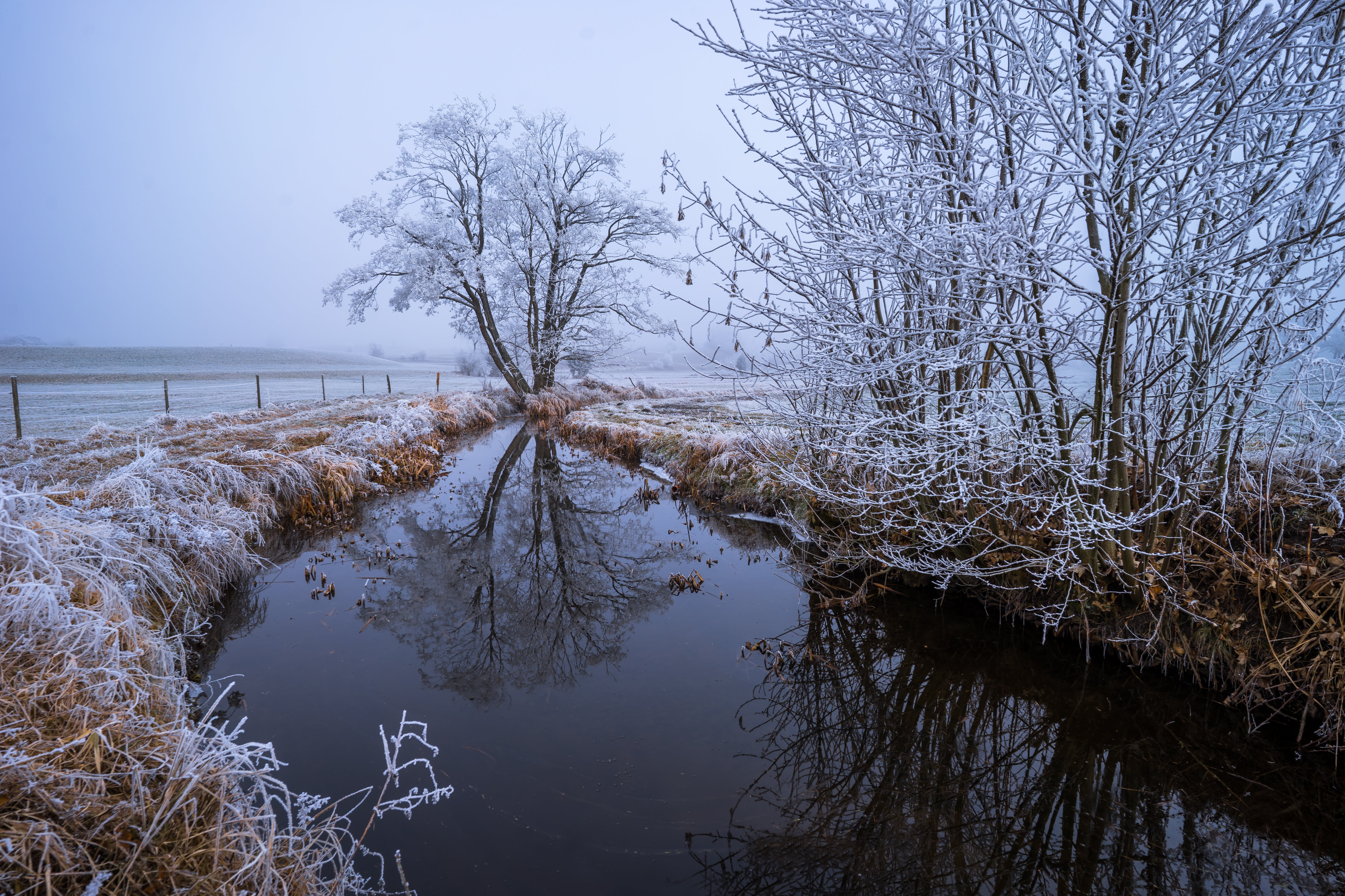 desktop background, cold temperature, lake, glitter, reflections, tranquil scene, background, wintry, crystals, water, landscape, winter, tree, scenics - nature, HD Wallpaper