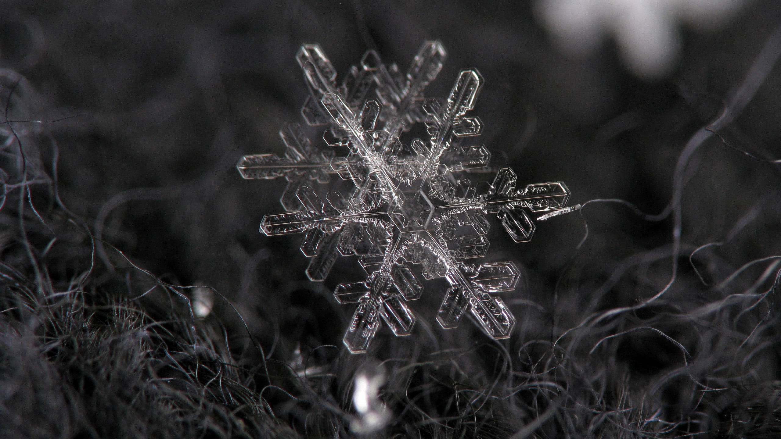 snowflake, nature, 2K, bw, hd, macro, winter, HD Wallpaper