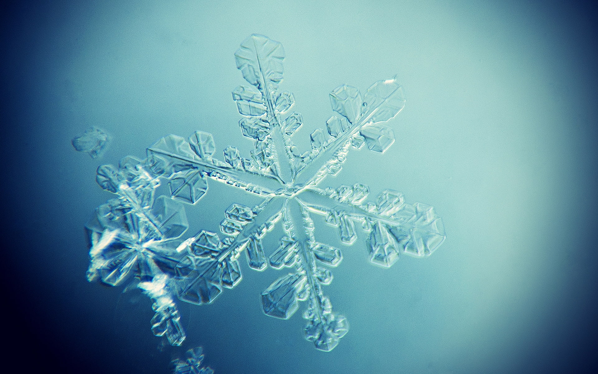 macro, blue, snowflake, 1080P, winter, nature, hd, HD Wallpaper