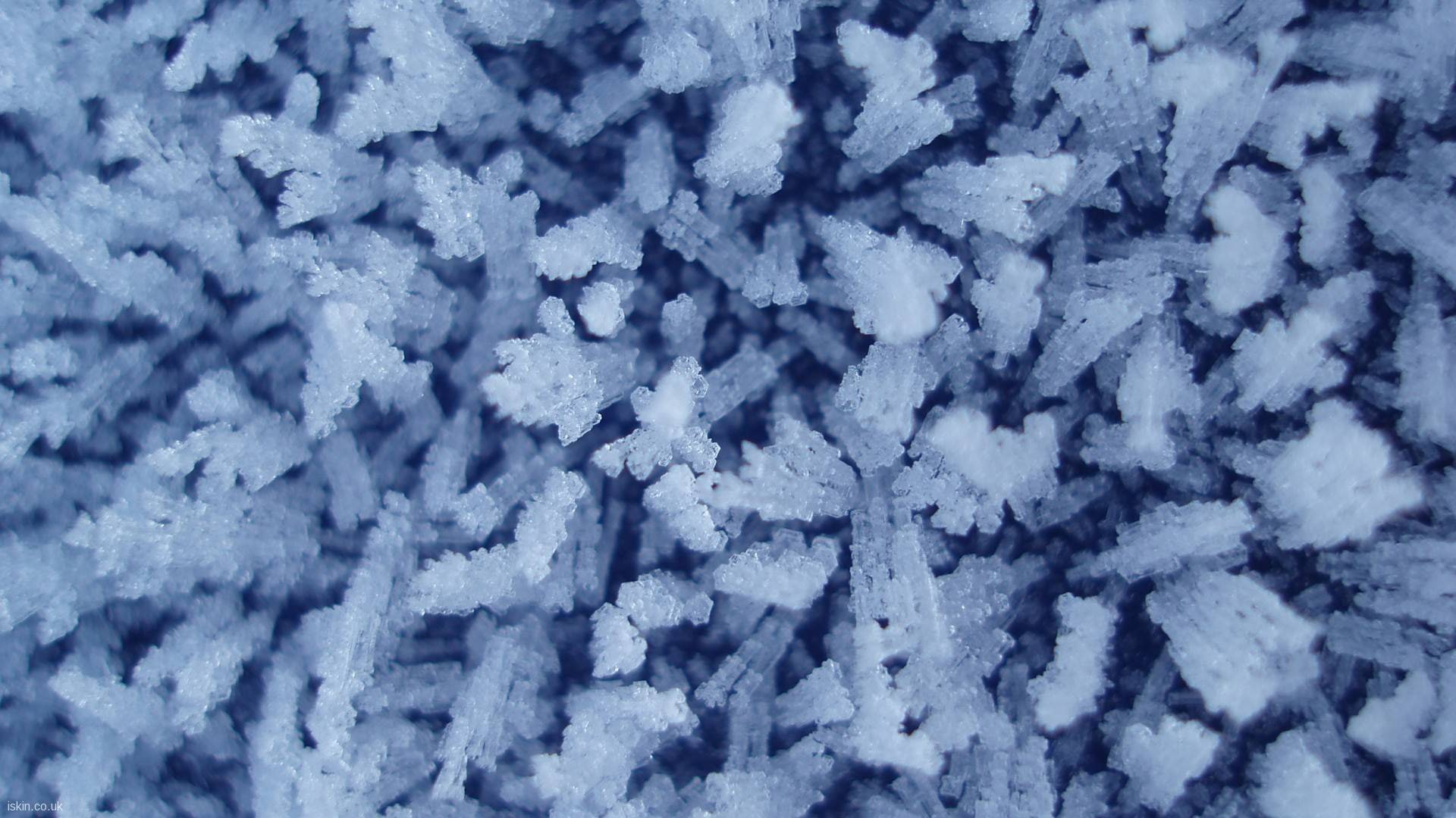1080P, hd, winter, frost, macro, ice, nature, HD Wallpaper