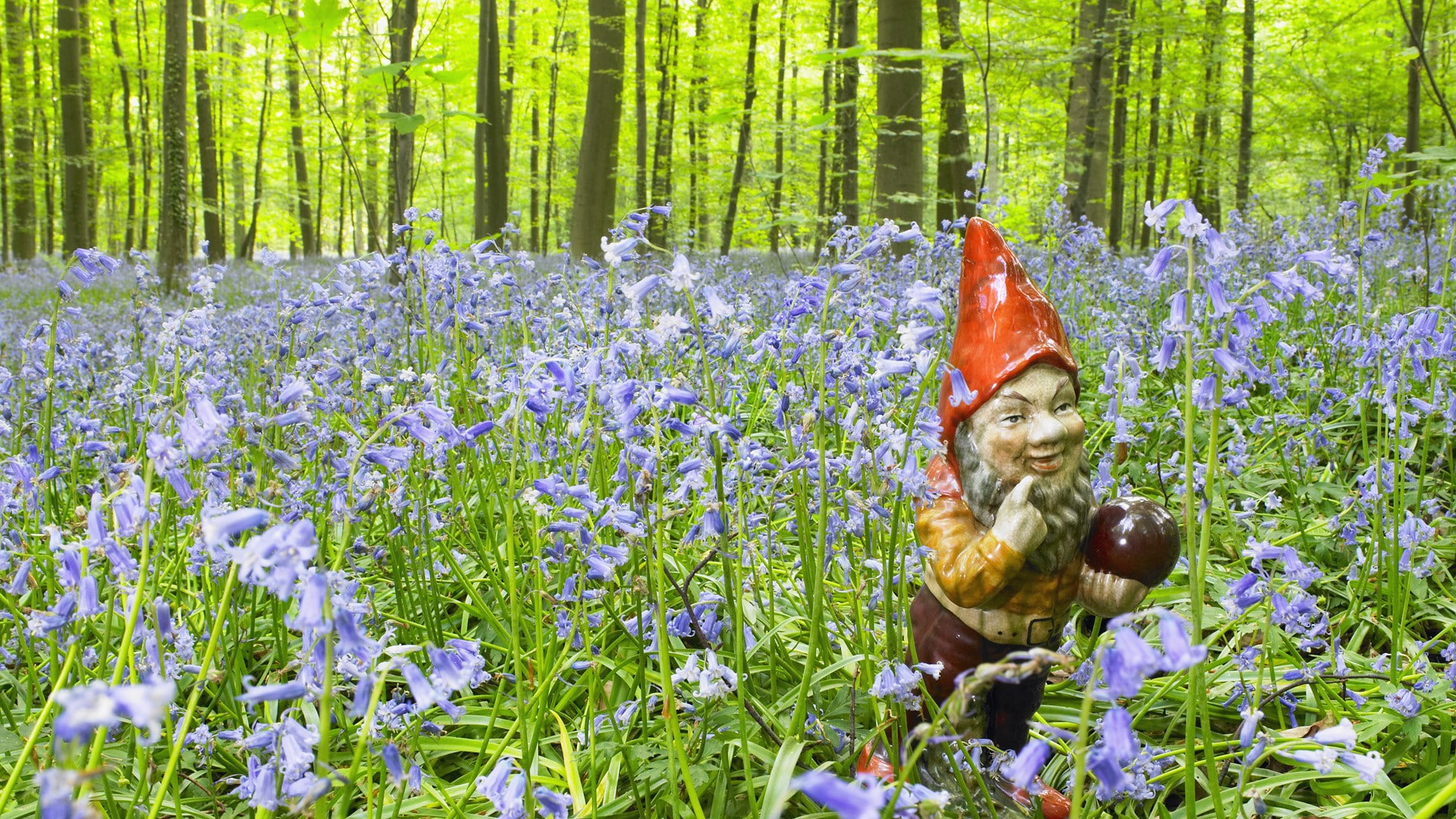 dwarf, flowers, brown, nature, hd, 1080P, ceramic, white, figurine, gnome, HD Wallpaper
