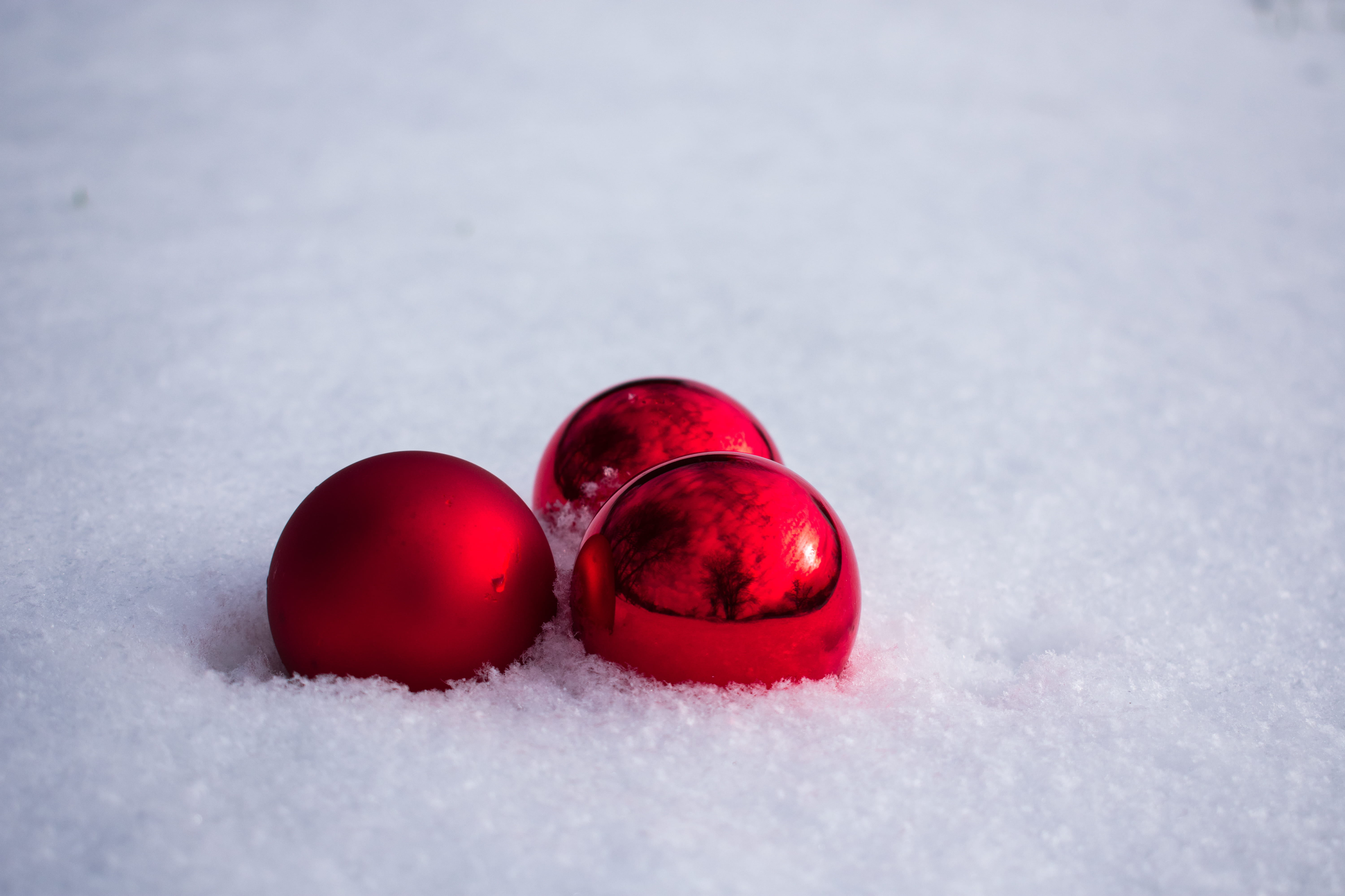 food, bempflingen, beauty in nature, christmas, no people, baubles, balls, nature, day, white, plant, cold temperature, light, bauble, snow, red, germany, HD Wallpaper