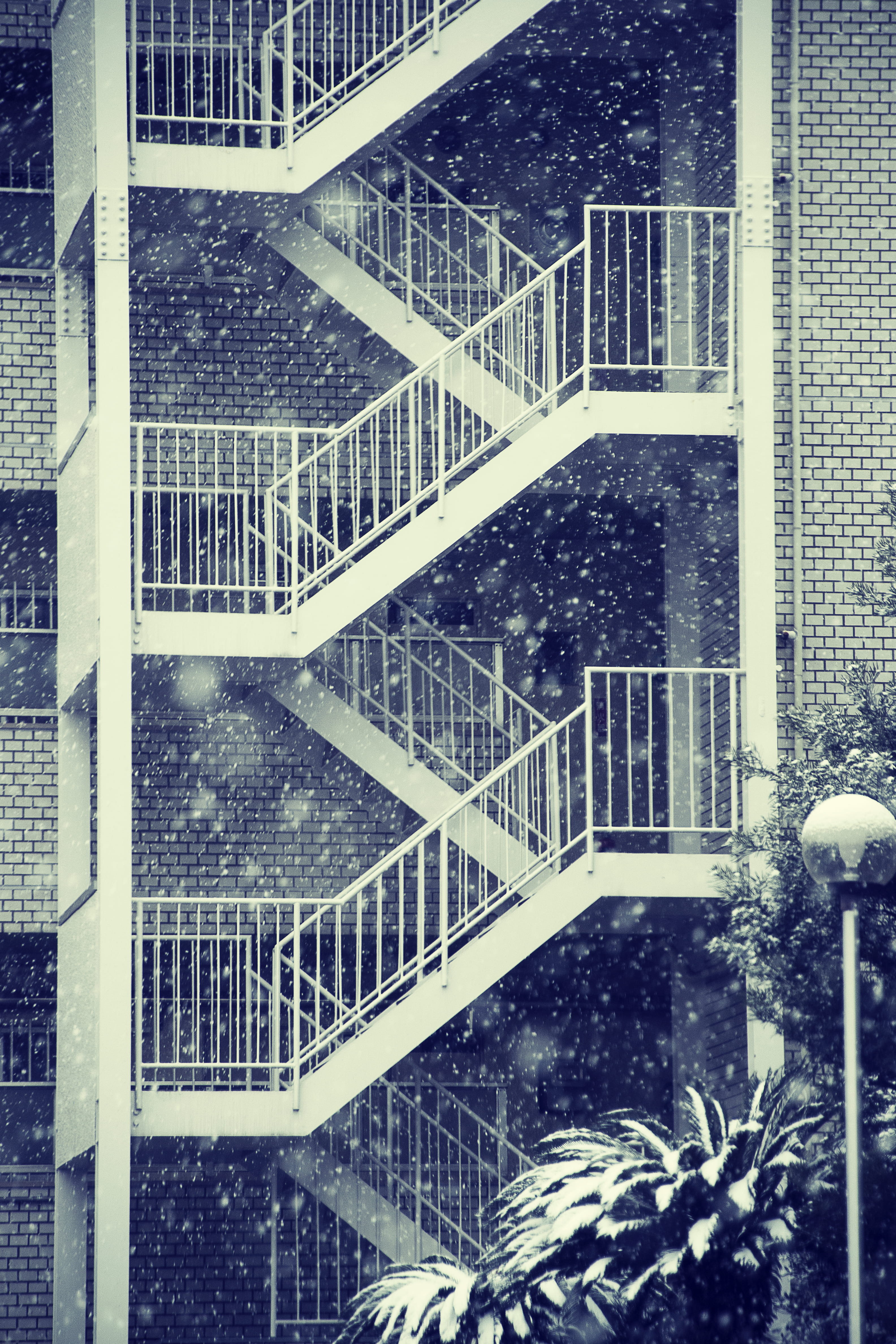 4K, tree, maze, snowing, building, railing, pergola, city, patio, invertebrate, triangle, built structure, porch, snow, ladder, handrail, way, architecture, Phone HD Wallpaper