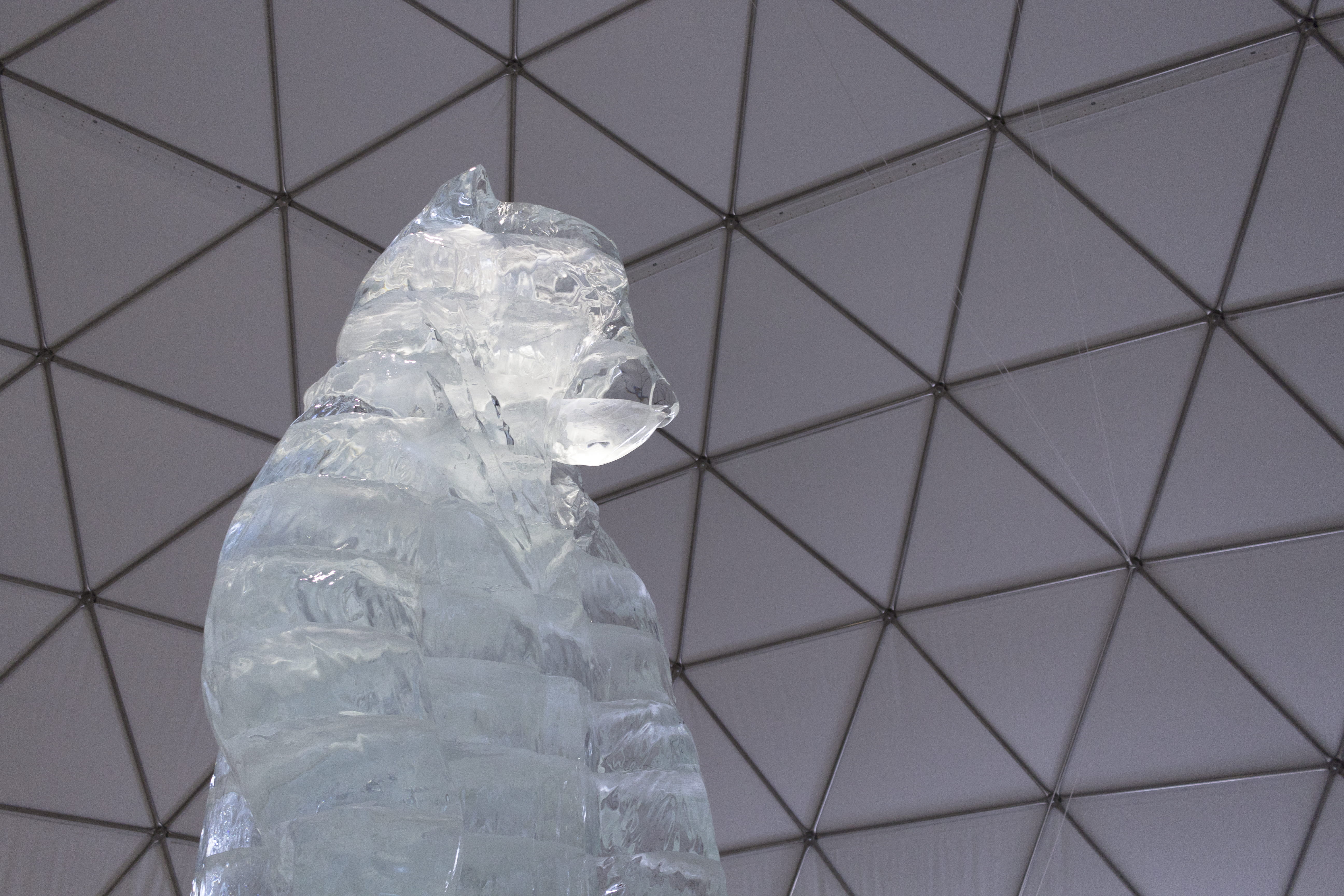 no people, indoors, ceiling, shape, 5K, triangle, focus on foreground, safety, protection, geometric, architecture, art, plastic, ice, nature, hrebienok, HD Wallpaper