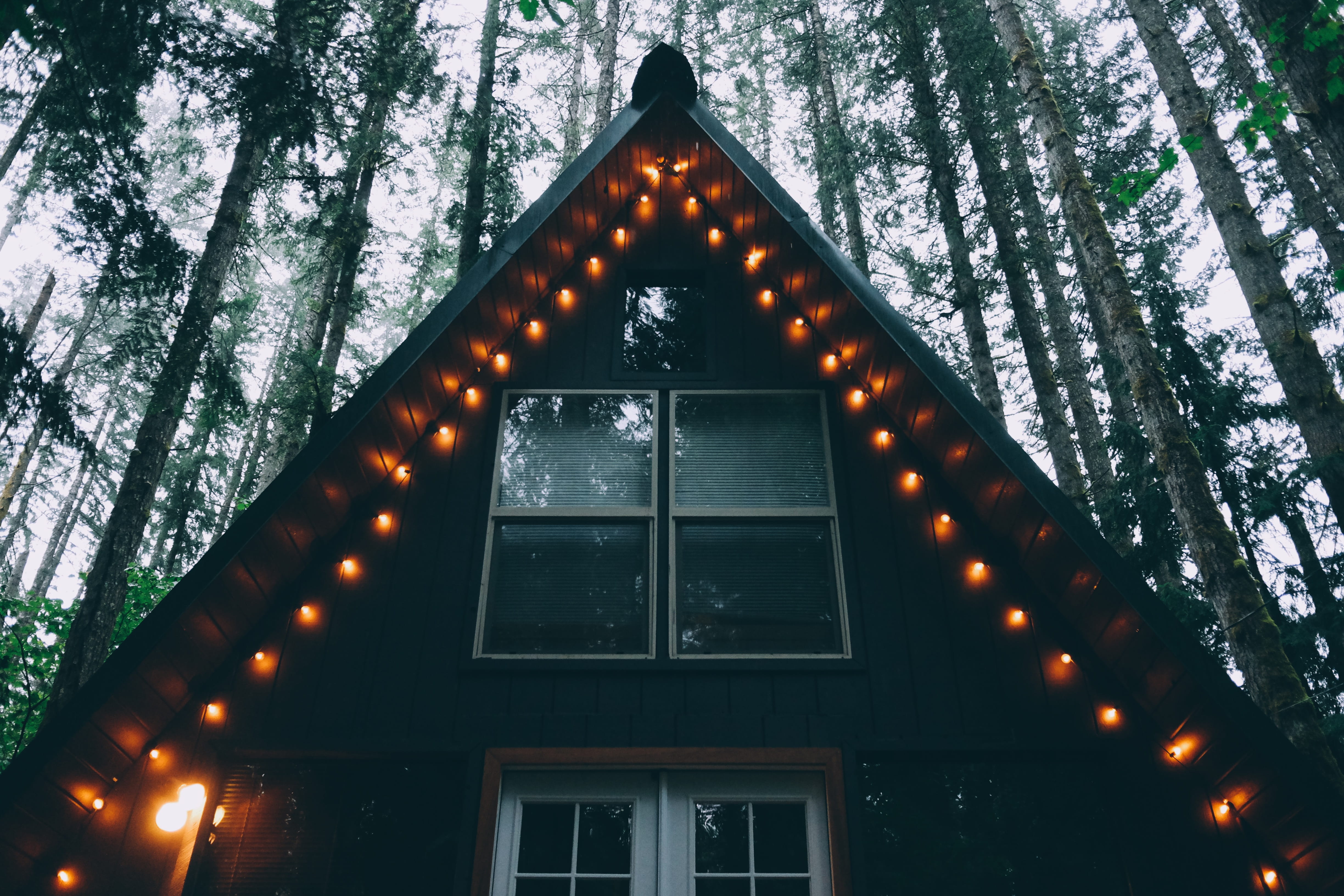 plant, decoration, shape, light, orange, forest, outdoor, turned on, building exterior, window, christmas, snow, nature, illuminated, photo, lighting equipment, HD Wallpaper
