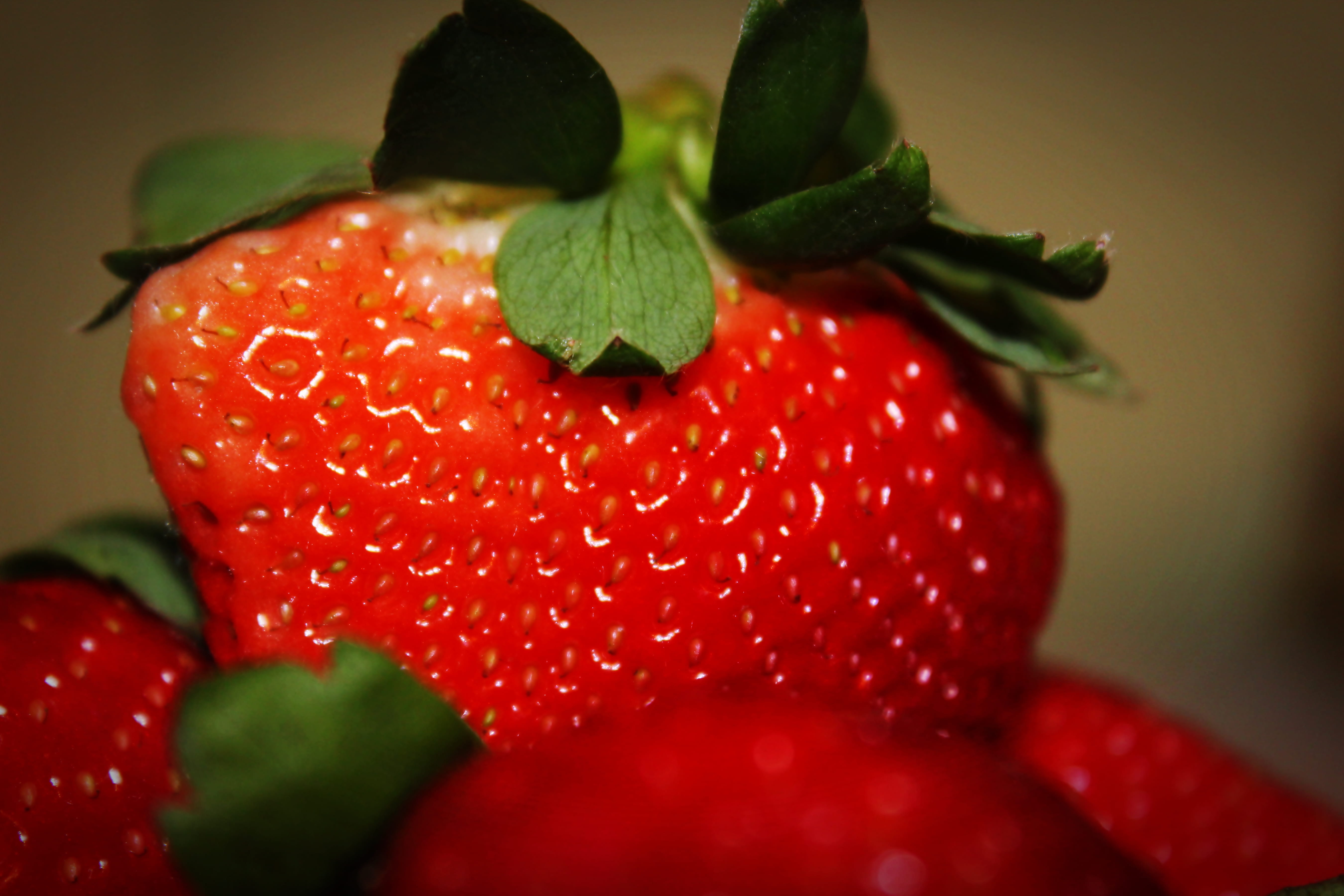 selective focus, freshness, red, leaves, 5K, close-up, still life, plant part, ripe, macro, wellbeing, green, strawberry, juicy, berry fruit, healthy eating, HD Wallpaper