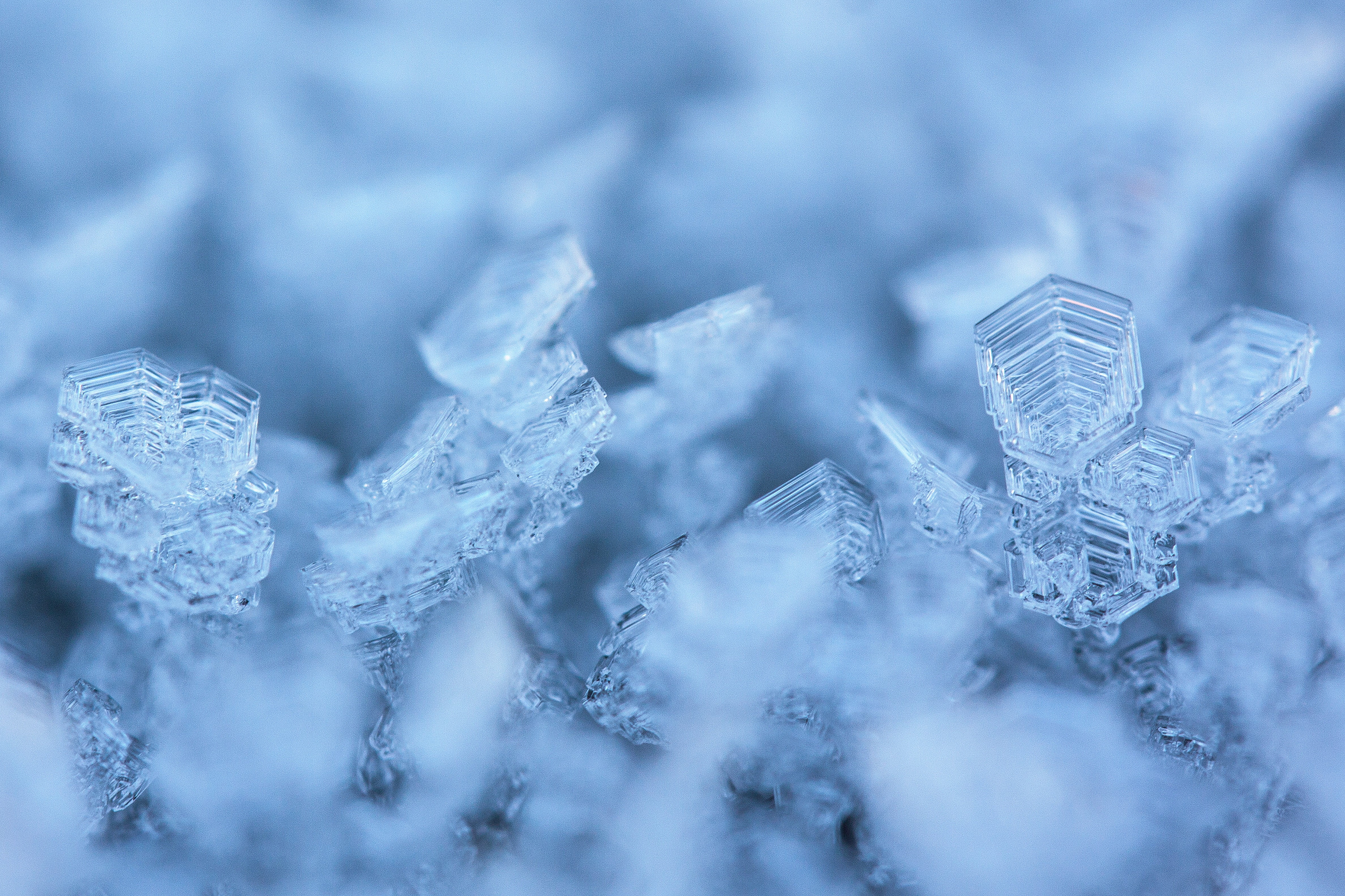 indoors, extreme close-up, snow, selective, blue, frozen, frost, no people, snowflake, silver colored, abstract backgrounds, bright, eiskristalle, ice Crystal, HD Wallpaper