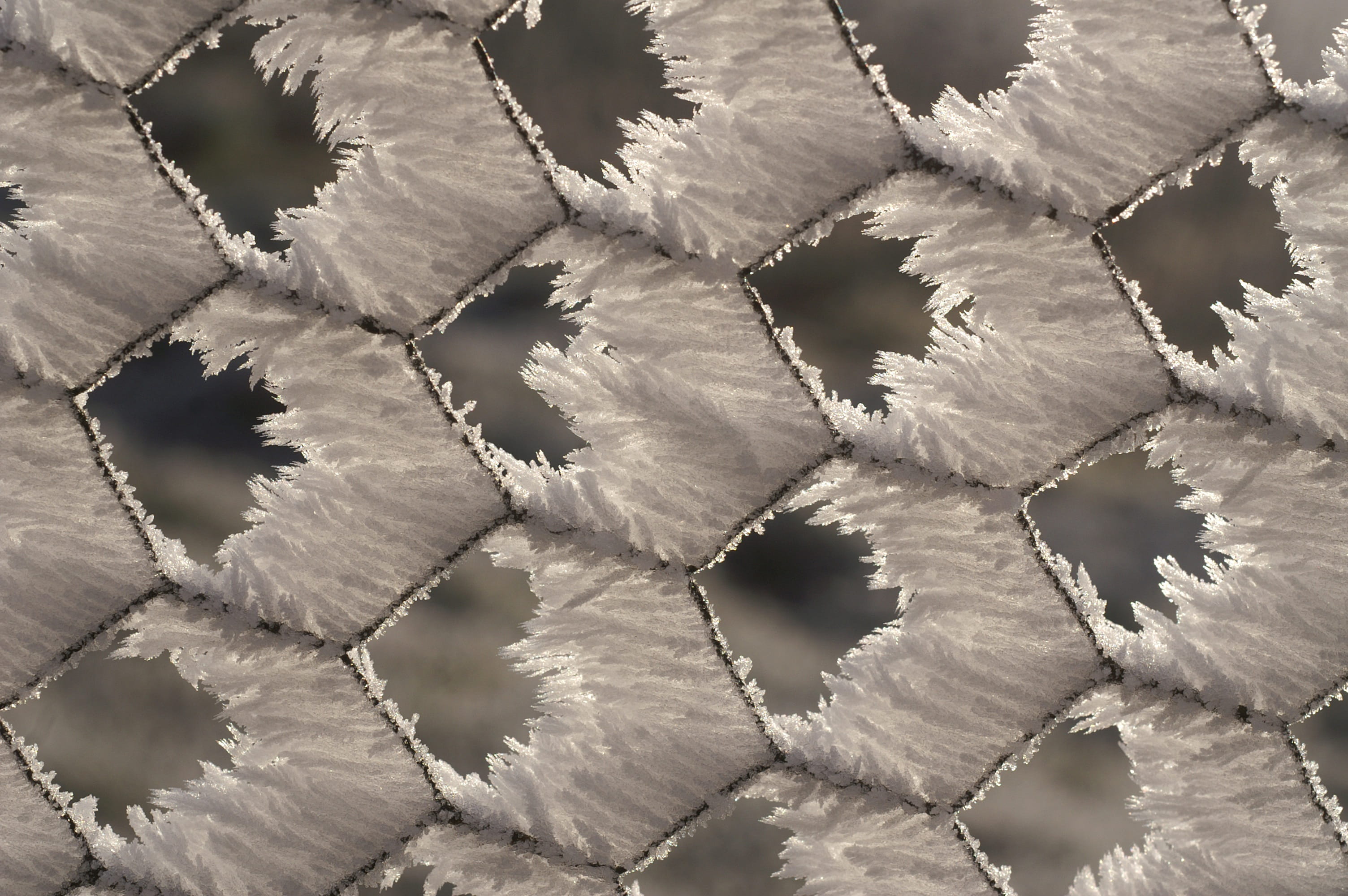 cracked, decor, vulnerability, close-up, wire, repetition, texture, full frame, nature, shape, extreme close-up, 2K, textured, backgrounds, geometric, HD Wallpaper