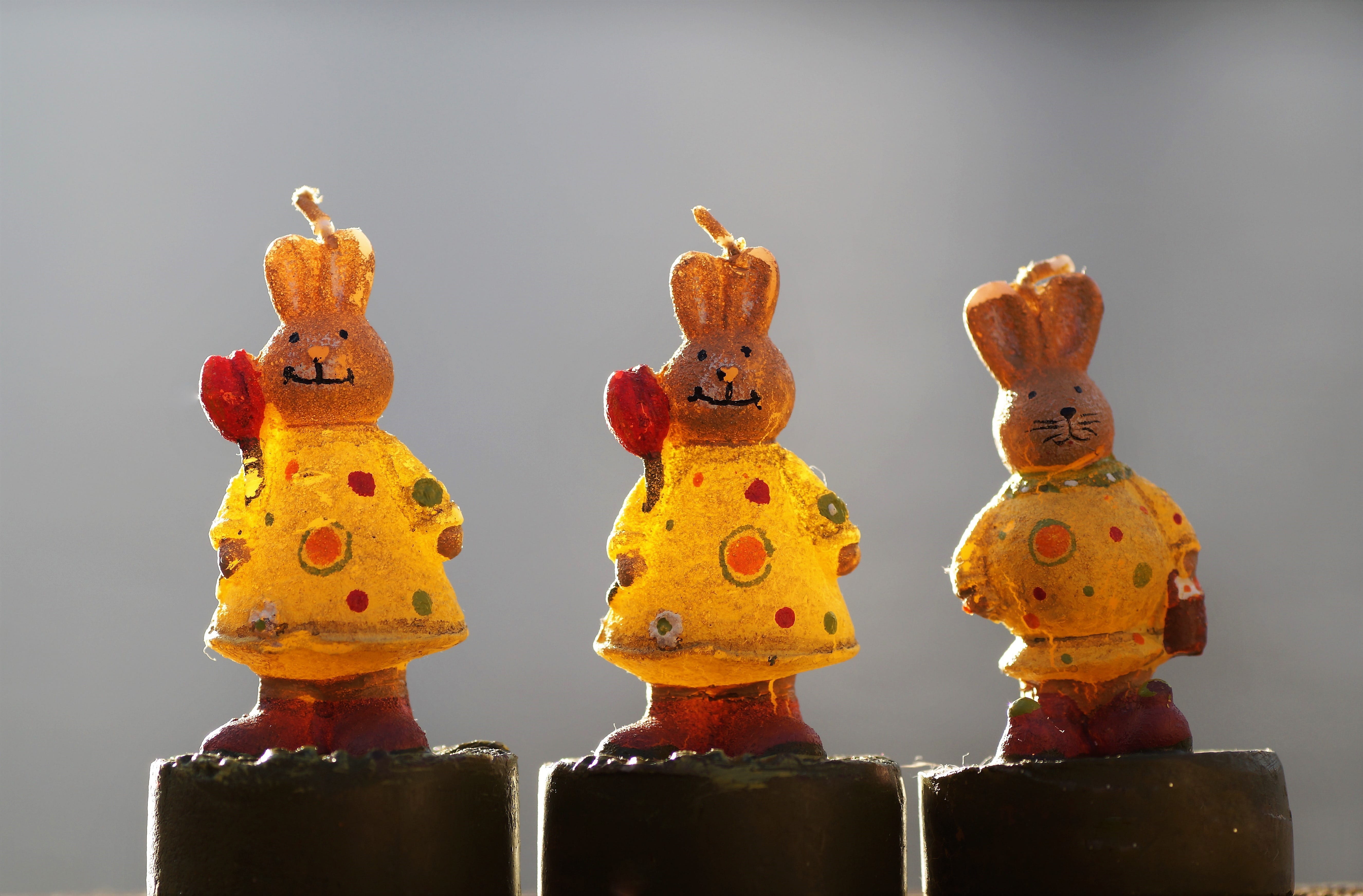 indoors, animal, close-up, bunnies, art and craft, studio shot, gray background, three objects, the tradition of, spring, 5K, craft, in a row, from the wax, HD Wallpaper