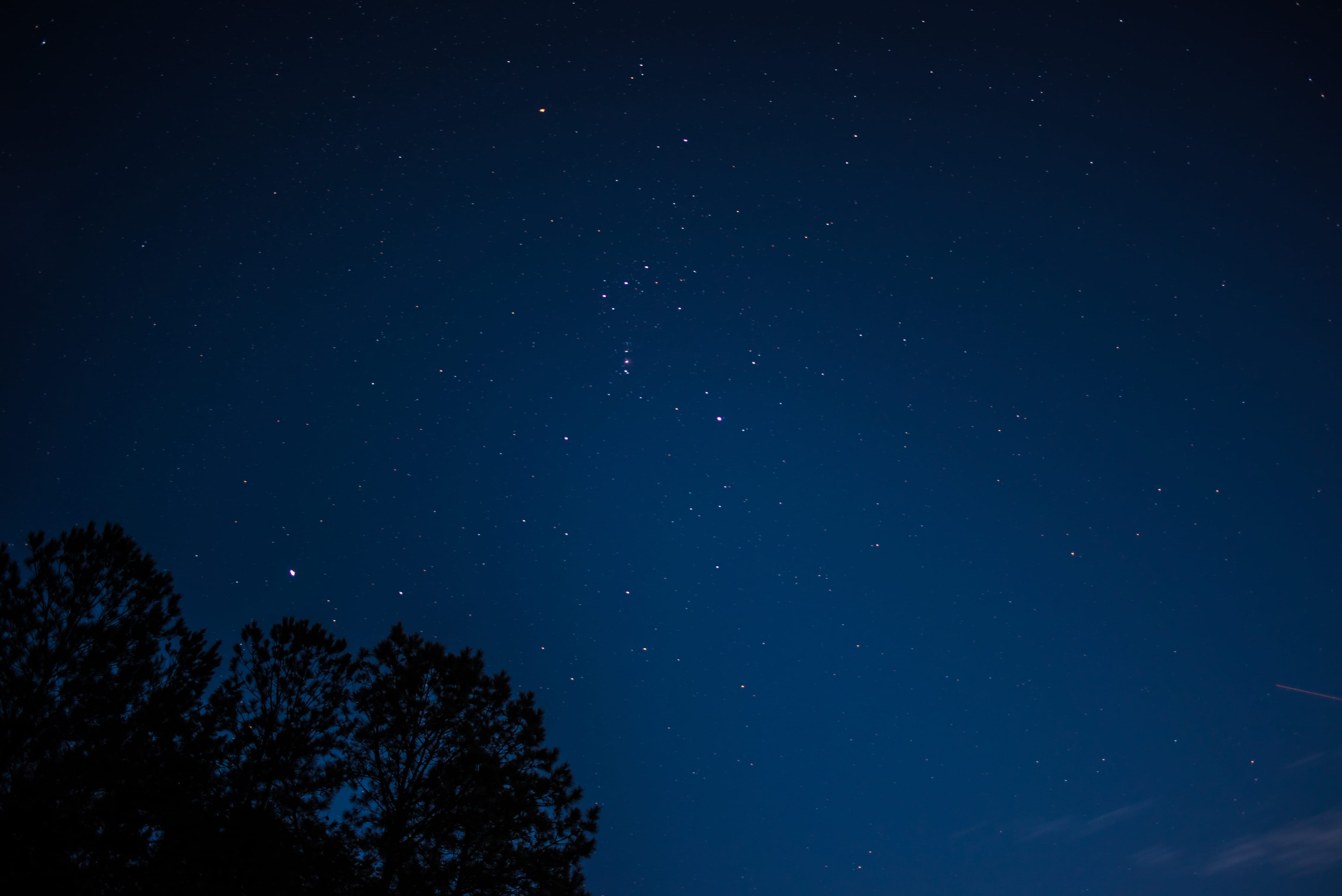 no people, tranquil scene, silhouette, star, long exposure, nature, night sky, sky, united states, trees, 4K, beauty in nature, tree, scenics - nature, HD Wallpaper
