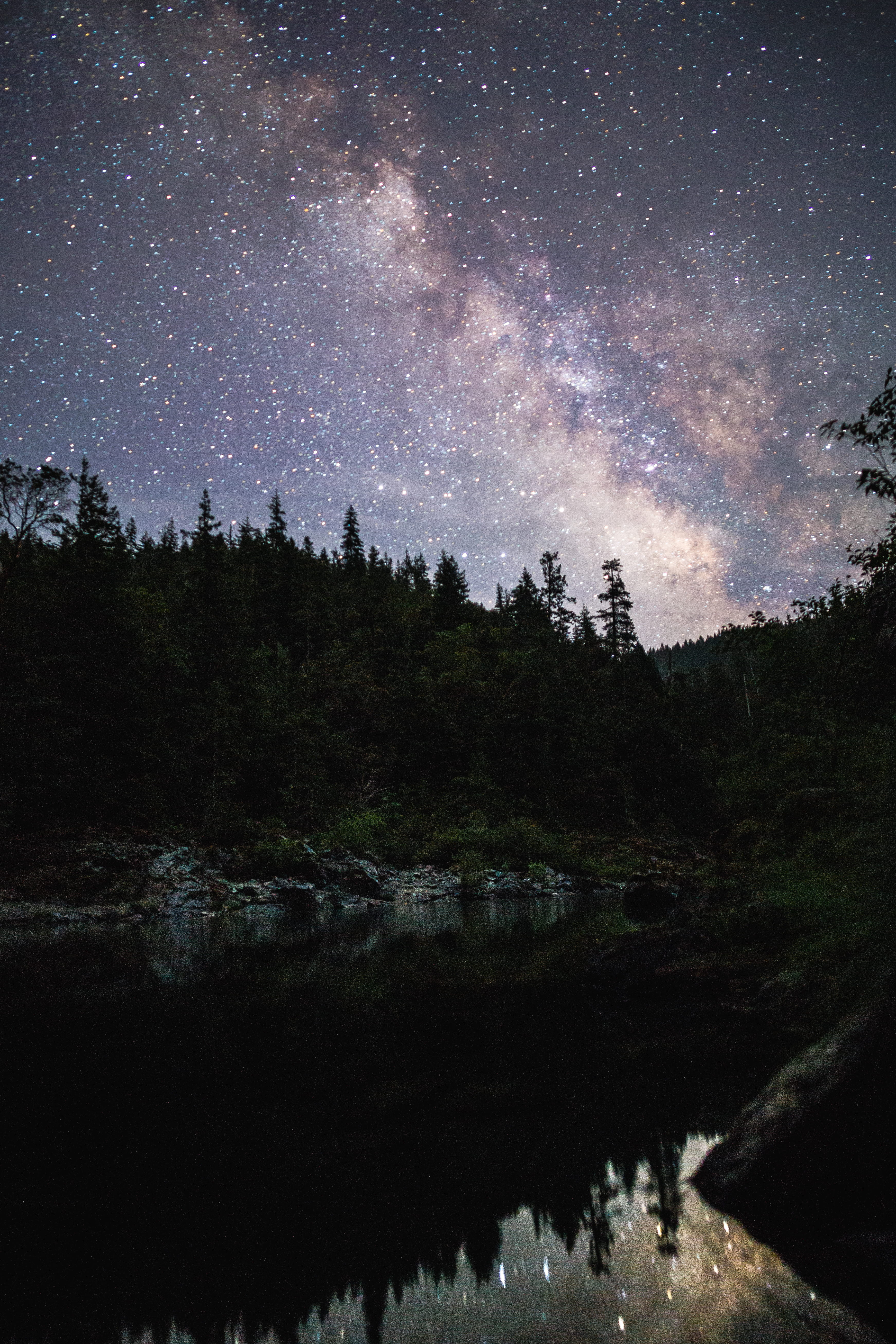 forest, night, beauty In Nature, night photography, lake, mountain, star, black, plant, astronomy, water, scenics - nature, landscape, 5K, galaxy, space and astronomy, Phone HD Wallpaper