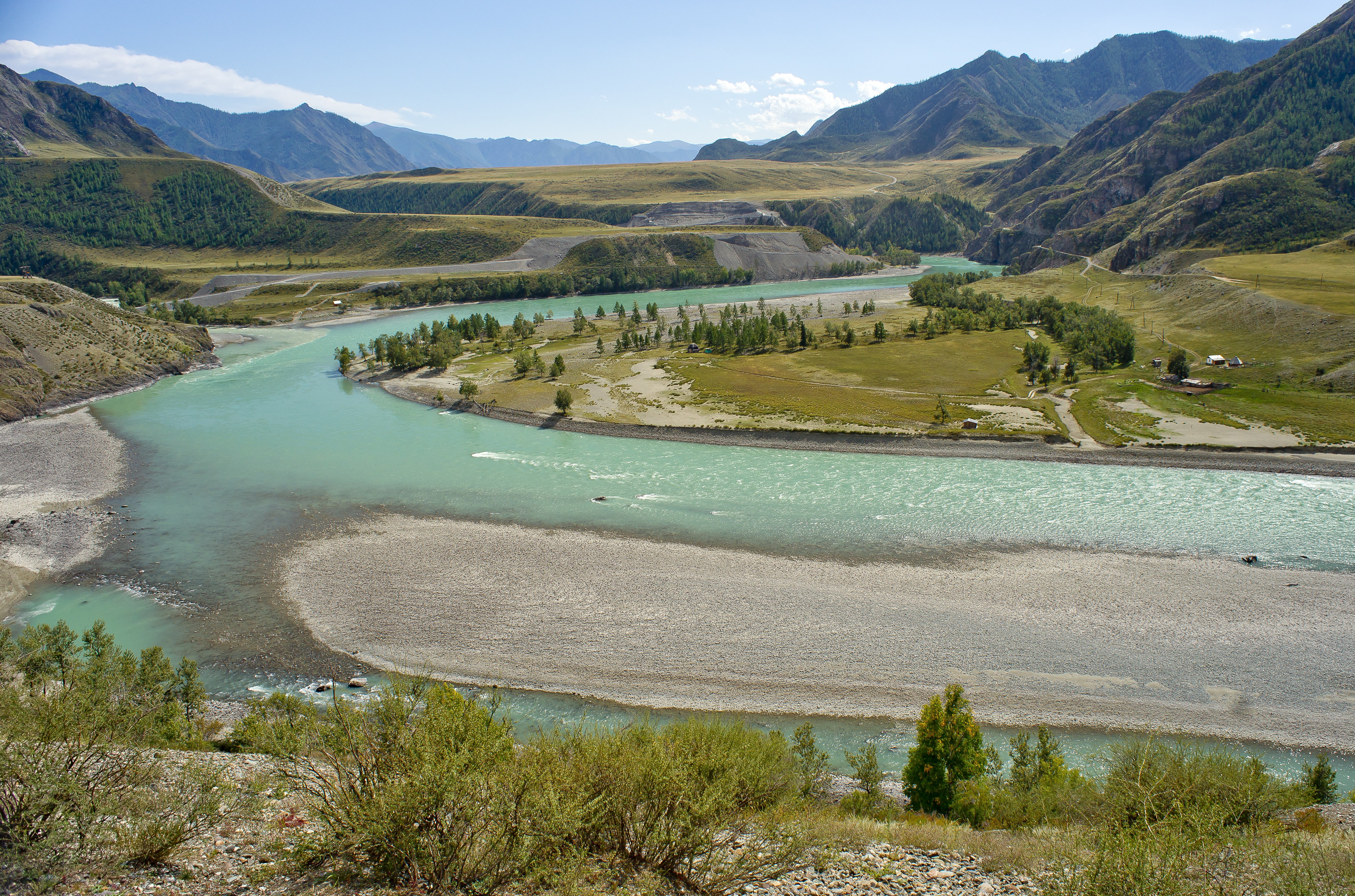 land, environment, plant, grass, summer, katun river, river bank, mountains, nature, tree, 5K, scenics - nature, travel, mountain altai, trees, mountain, HD Wallpaper
