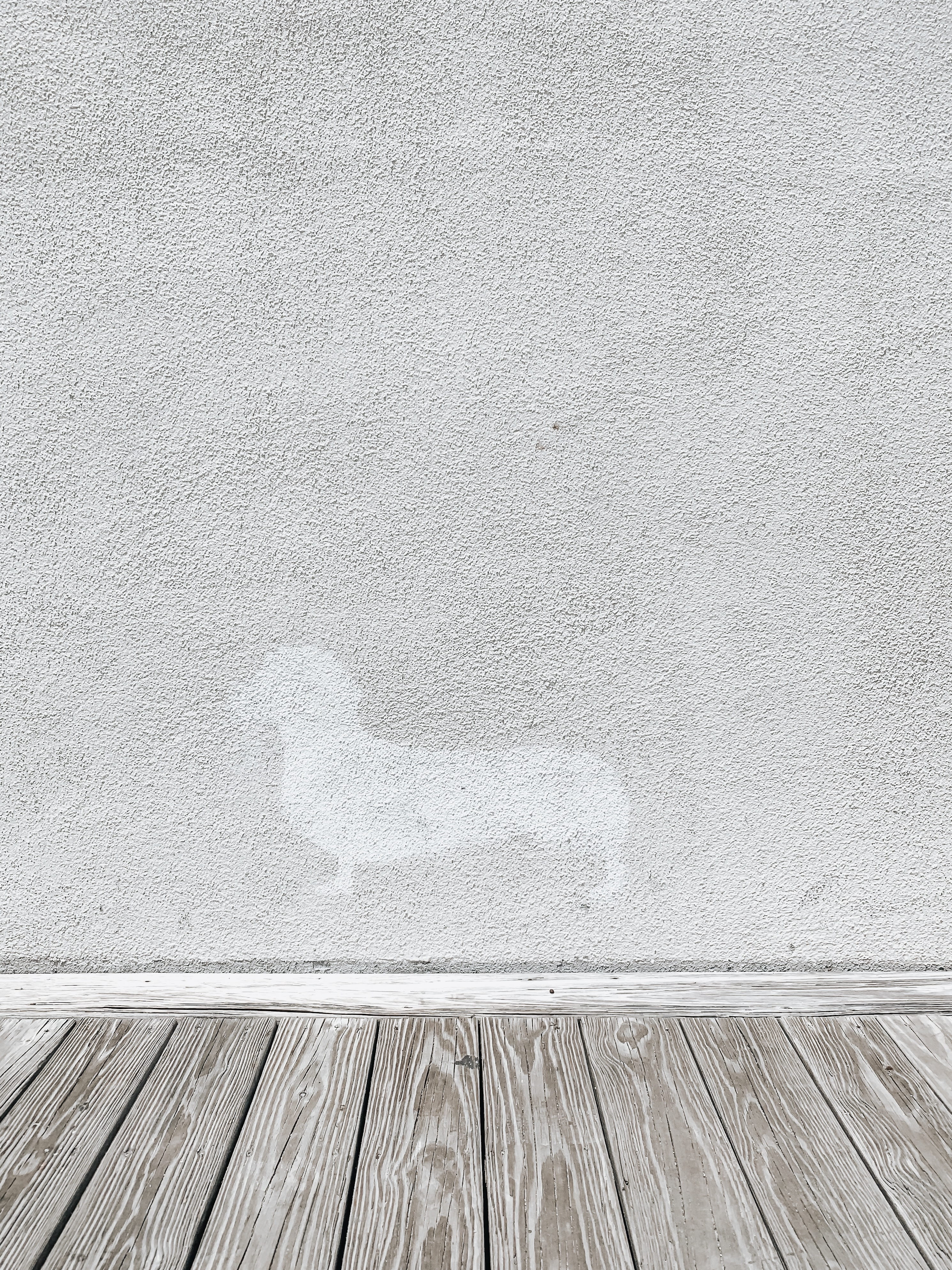 dog, ocean, concrete, logo, nature, rug, summer, hardwood floor, day, textured, white, copy space, clothing, 4K, backgrounds, gray, texture, board, floor, Phone HD Wallpaper