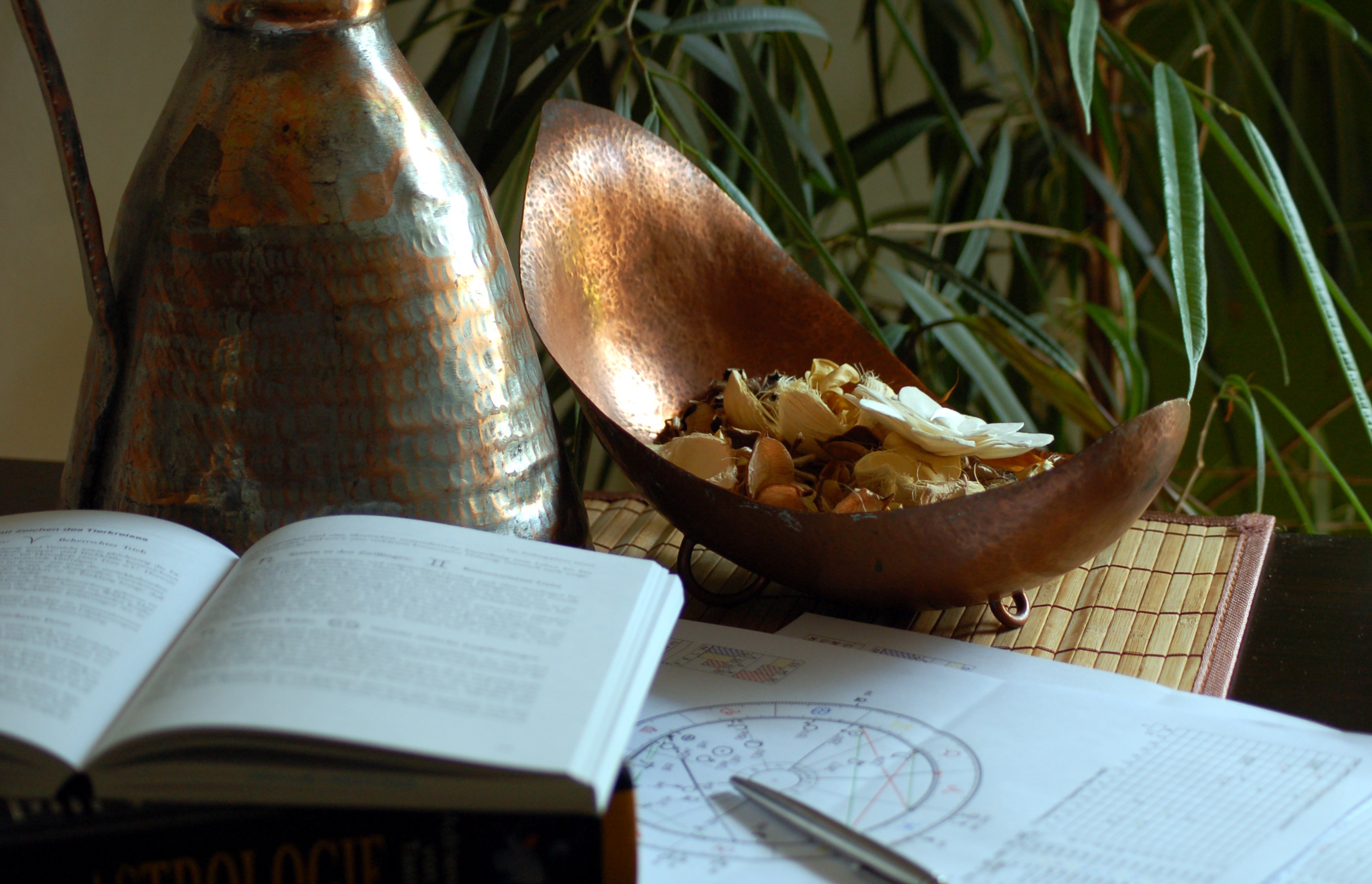 scorpio, open, close-up, still life, publication, plant, astrology, wood - material, pen, page, horoscope, table, astrological, opened, fruit, wellbeing, HD Wallpaper