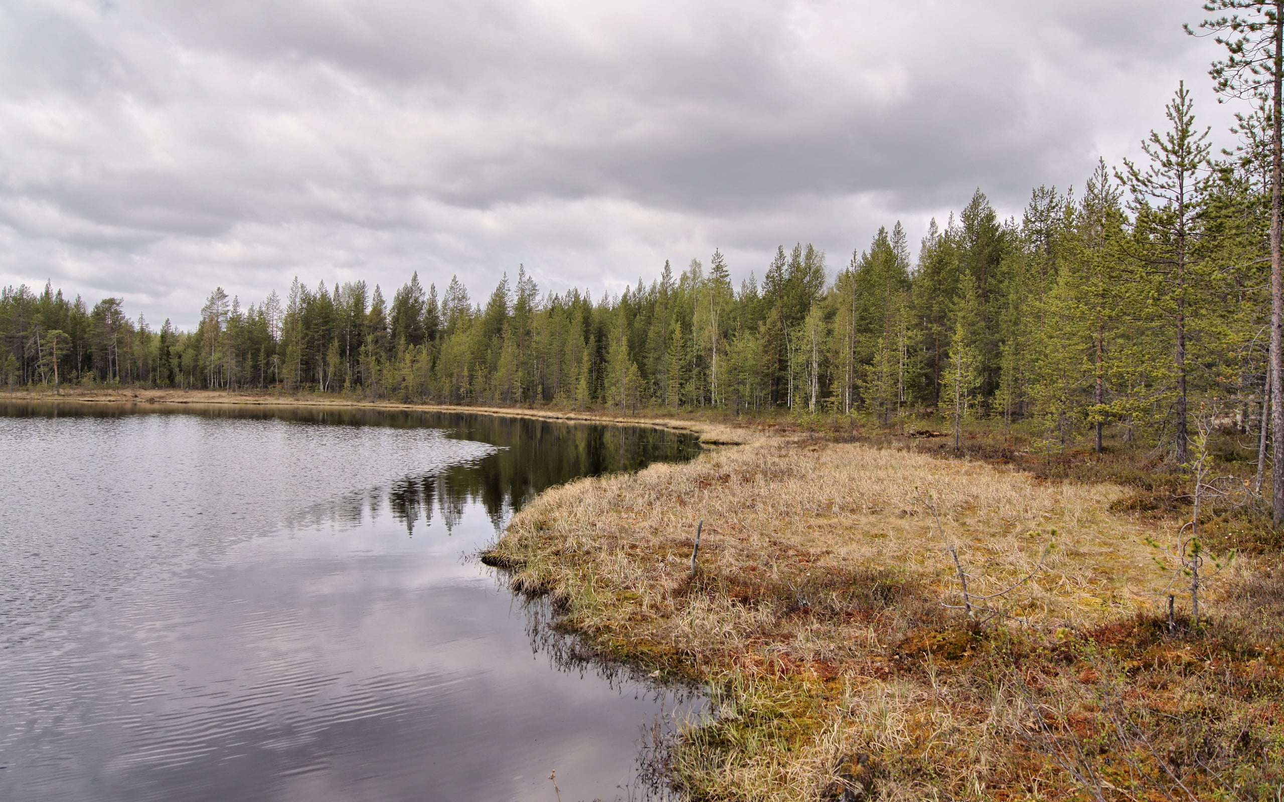 extreme Terrain, grass, coniferous, water, coniferous tree, travel, reflection, ripples, tranquility, green Color, pine Tree, river, non-Urban Scene, mountain, HD Wallpaper
