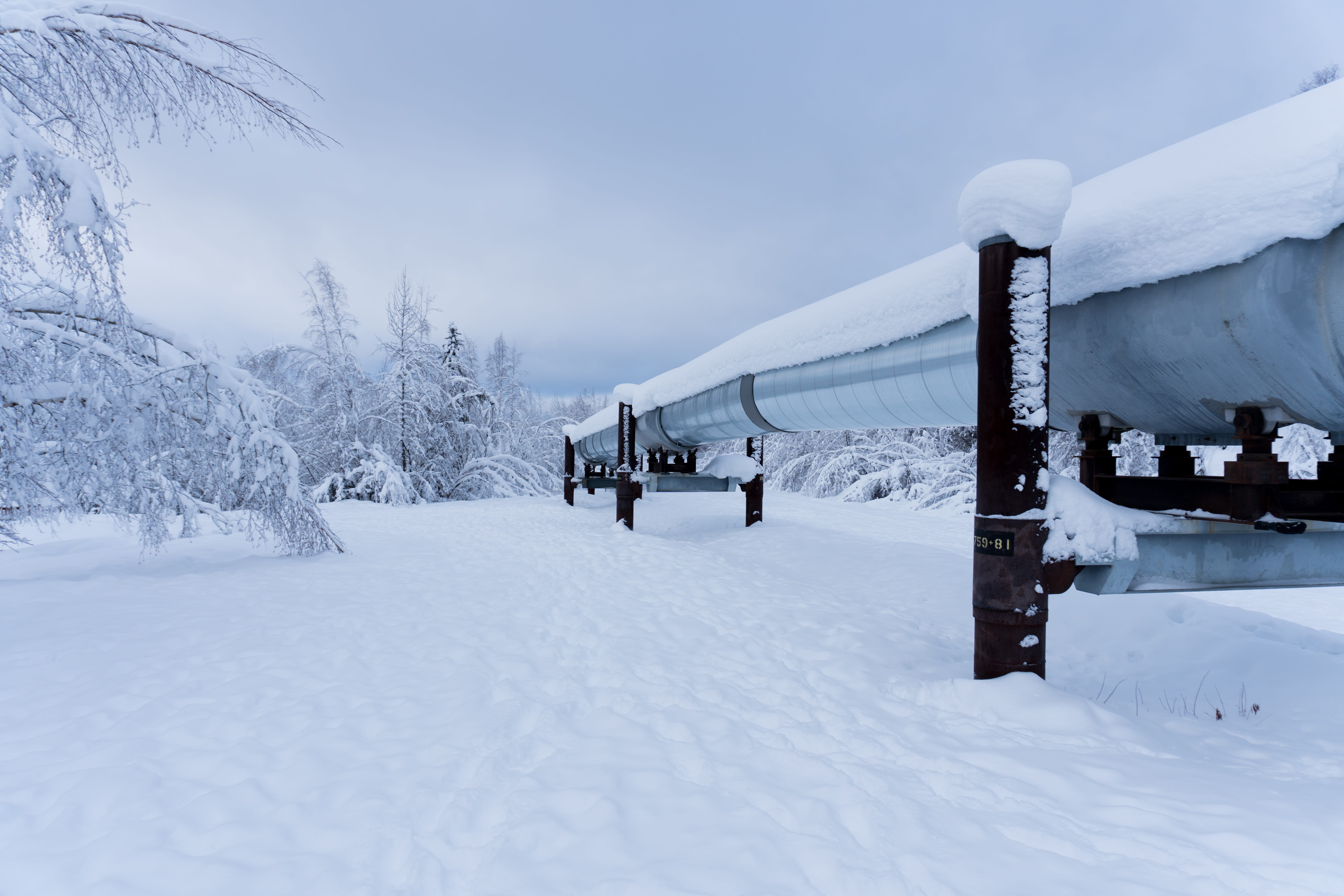 outdoors, land, cold temperature, architecture, united states, tree, scenics - nature, non-urban scene, 5K, snow, beauty in nature, snowcapped mountain, HD Wallpaper