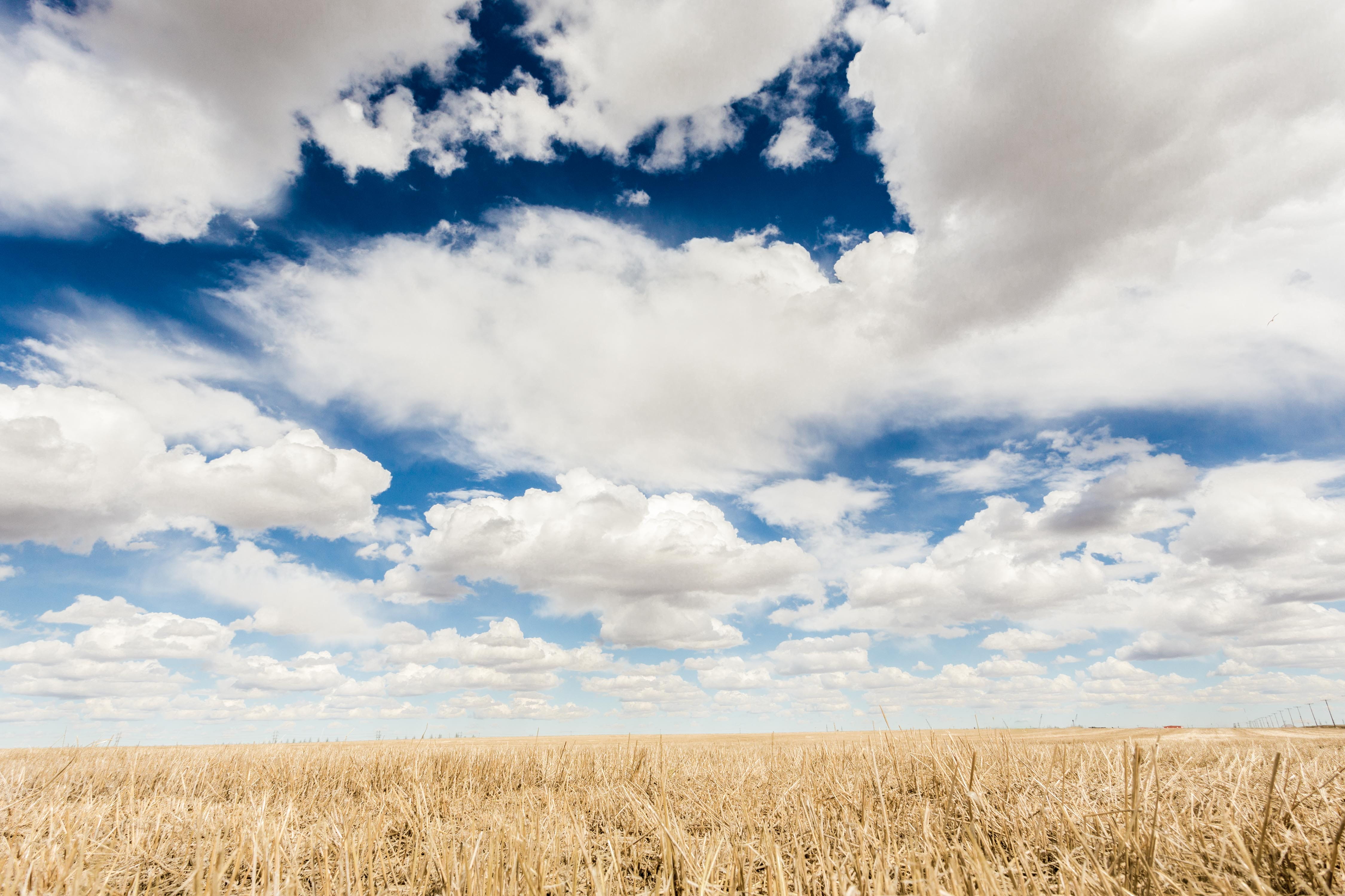 land, no people, tranquil scene, flat, growth, 4K, sky, scenics - nature, field, cloud - sky, plantation, crop, nature, saskatchewan, regina, beauty in nature, HD Wallpaper