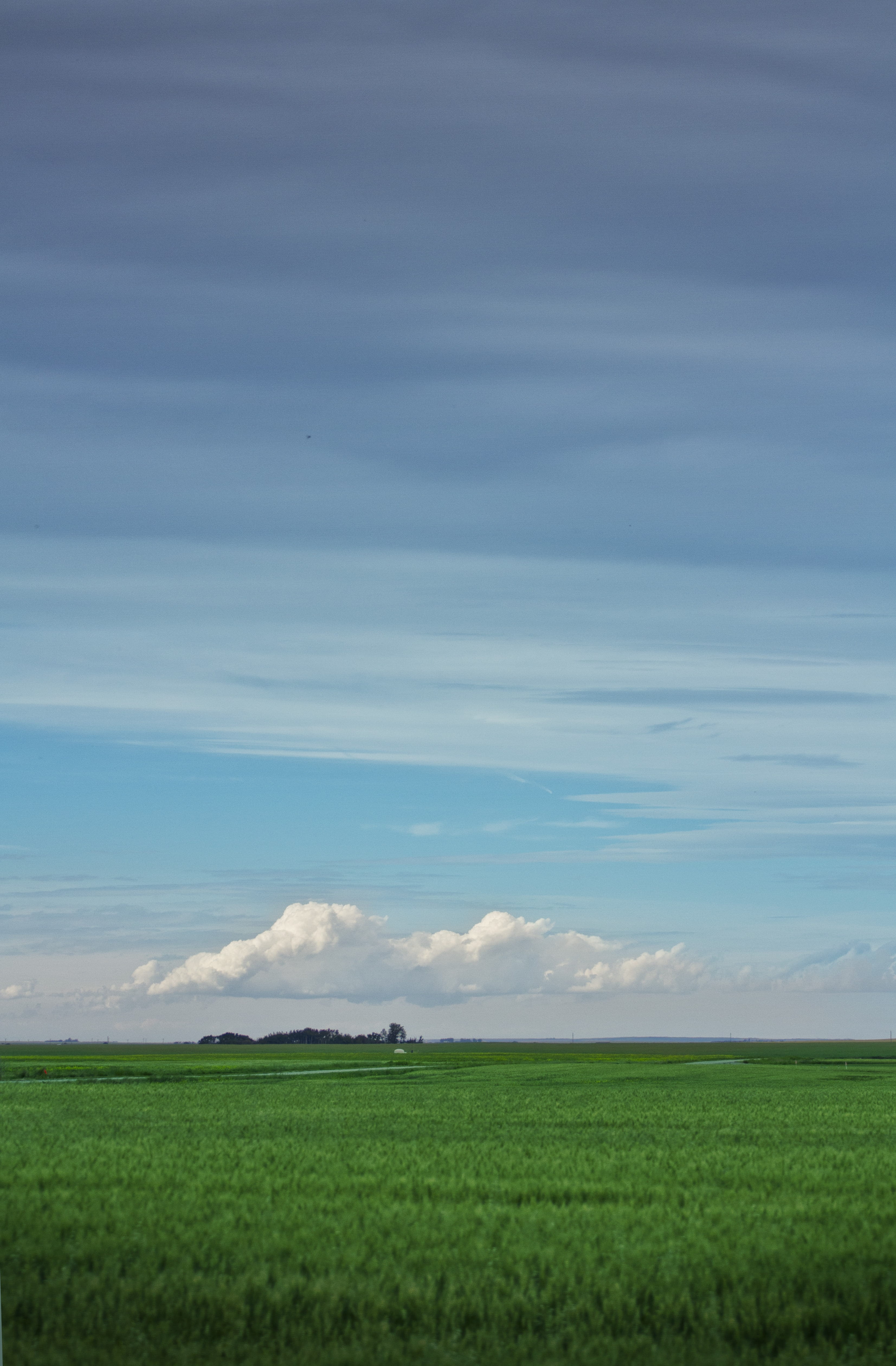 scenics - nature, canada, outdoors, green color, Prairie, landscape, grass, Farm, rural scene, tranquil scene, country, farm, sky, day, tranquility, saskatchewan, Phone HD Wallpaper