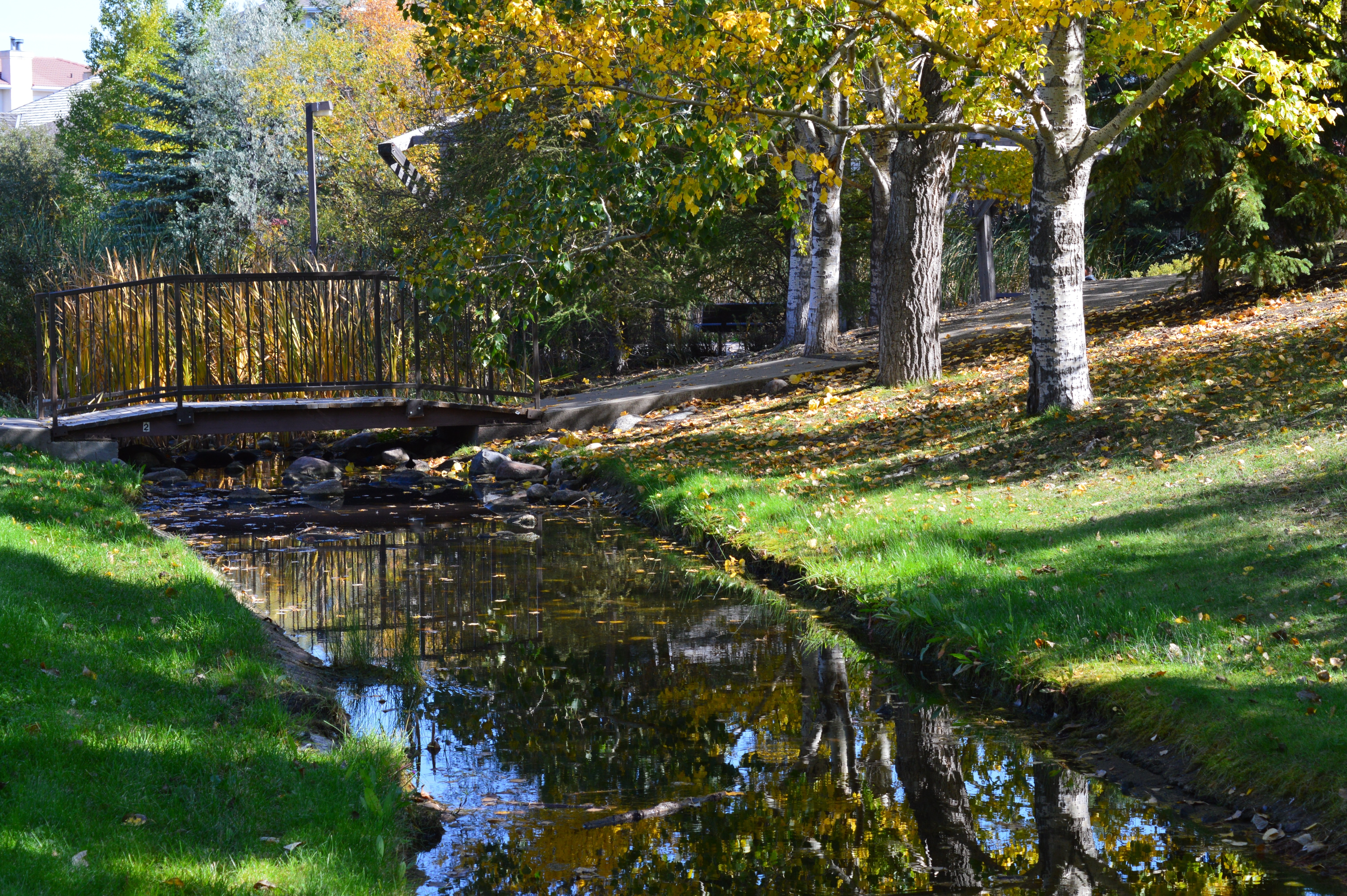 grass, canal, landscape, day, stream, outdoors, flowing water, reflection, flowing, plant, nature, saskatchewan, land, growth, bridge, forest, park, tranquility, HD Wallpaper