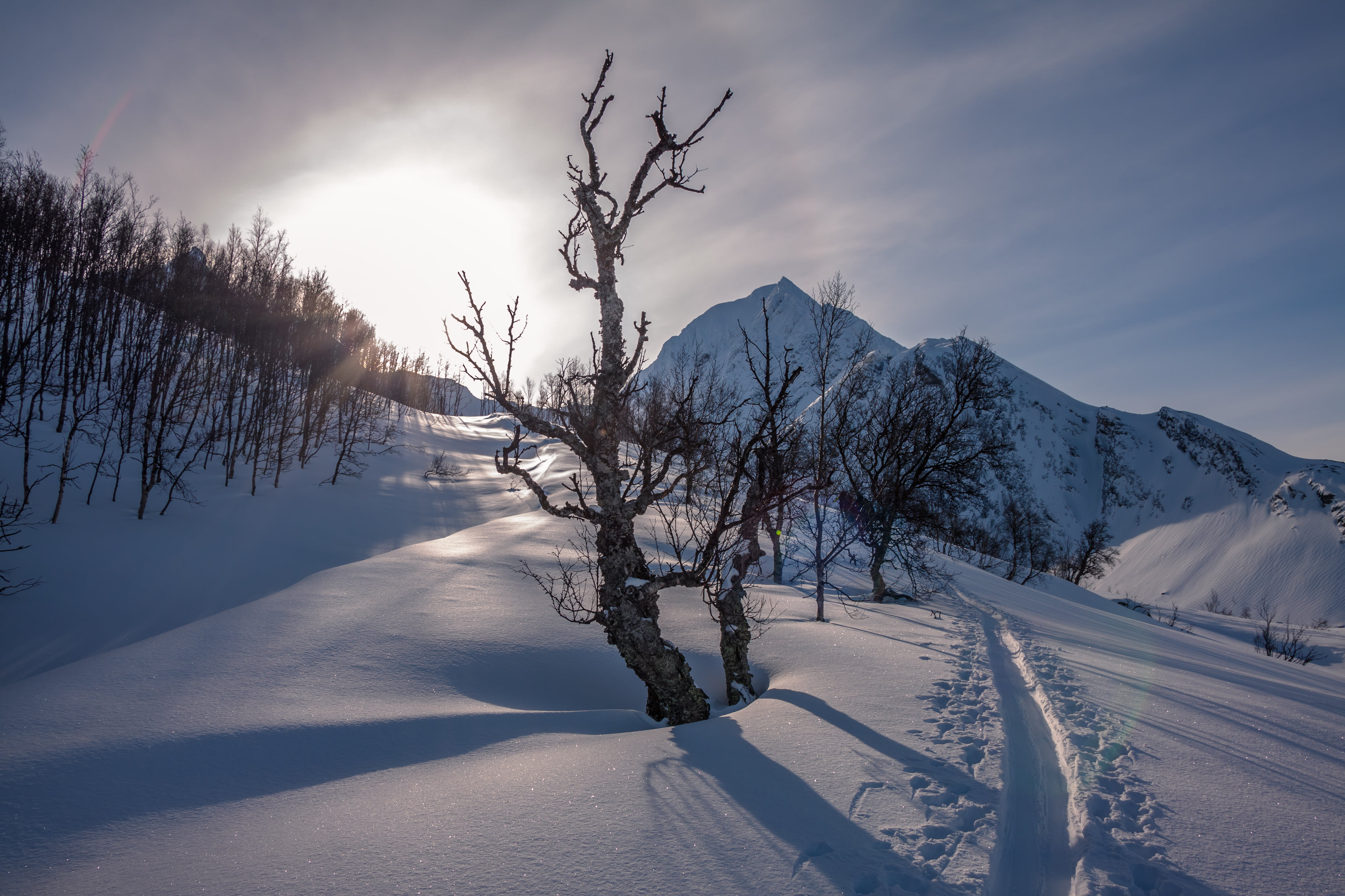 Mountains, tree, season, blue, snow, Lyngen, frost, mountain, Troms, Boo Hoo, daytime, nature, ice, trail, 4K, scenics, cold - Temperature, outdoors, brown, HD Wallpaper