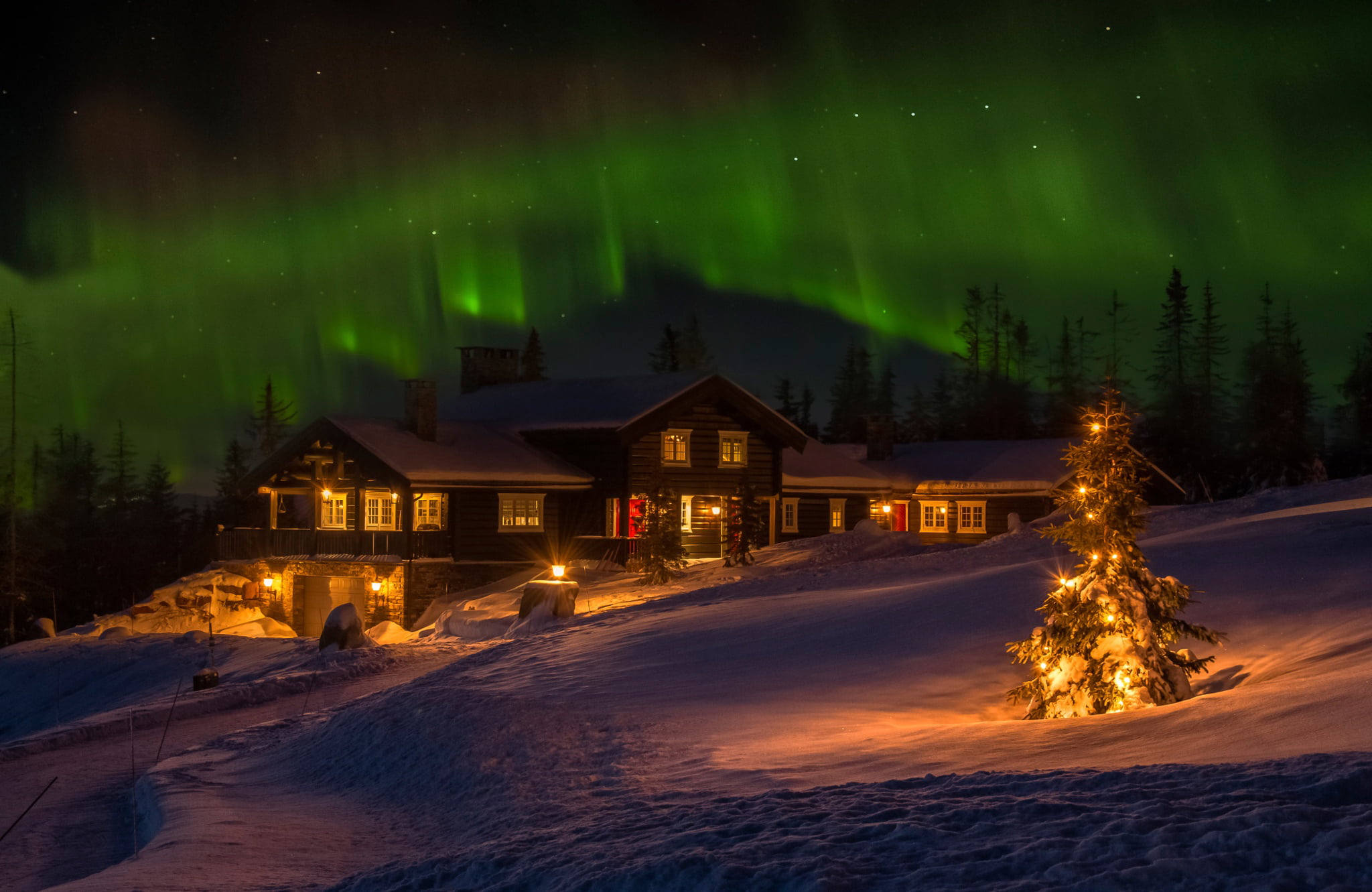 no People, outdoors, brown, winter, aurora Borealis, tree, season, night, christmas, Norway, european Alps, vacations, house, nature, built structure, building, HD Wallpaper