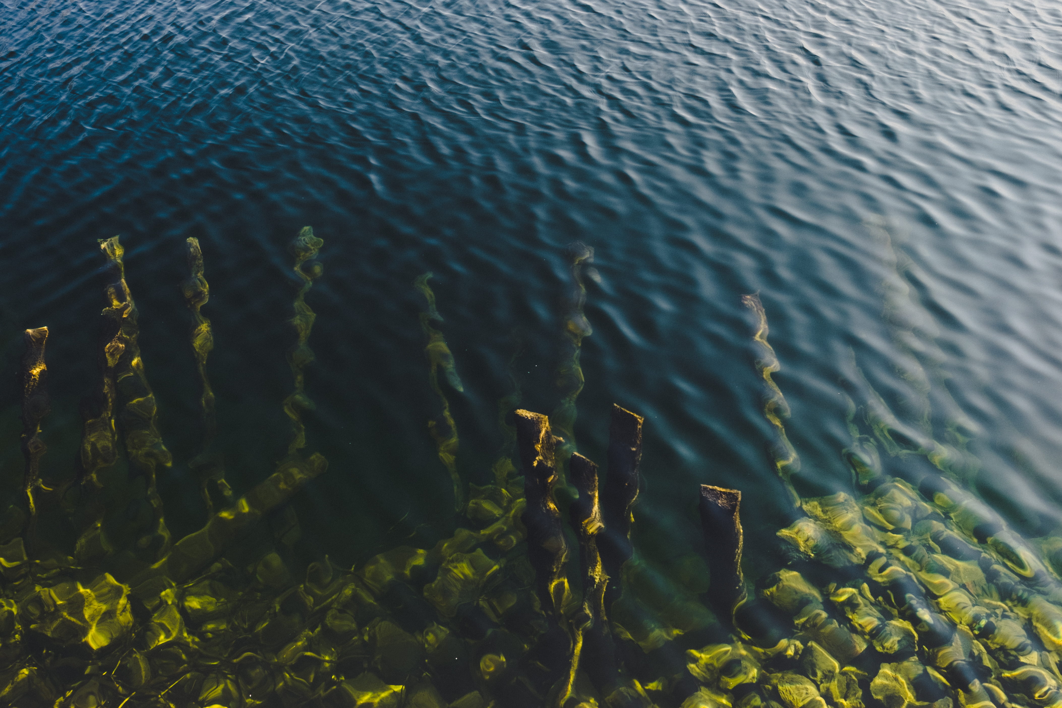 blue lake, beauty in nature, green, texture, floating, waterfront, sea weed, aerial, sunlight, outdoors, body, rippled, nature, winter lake, HD Wallpaper