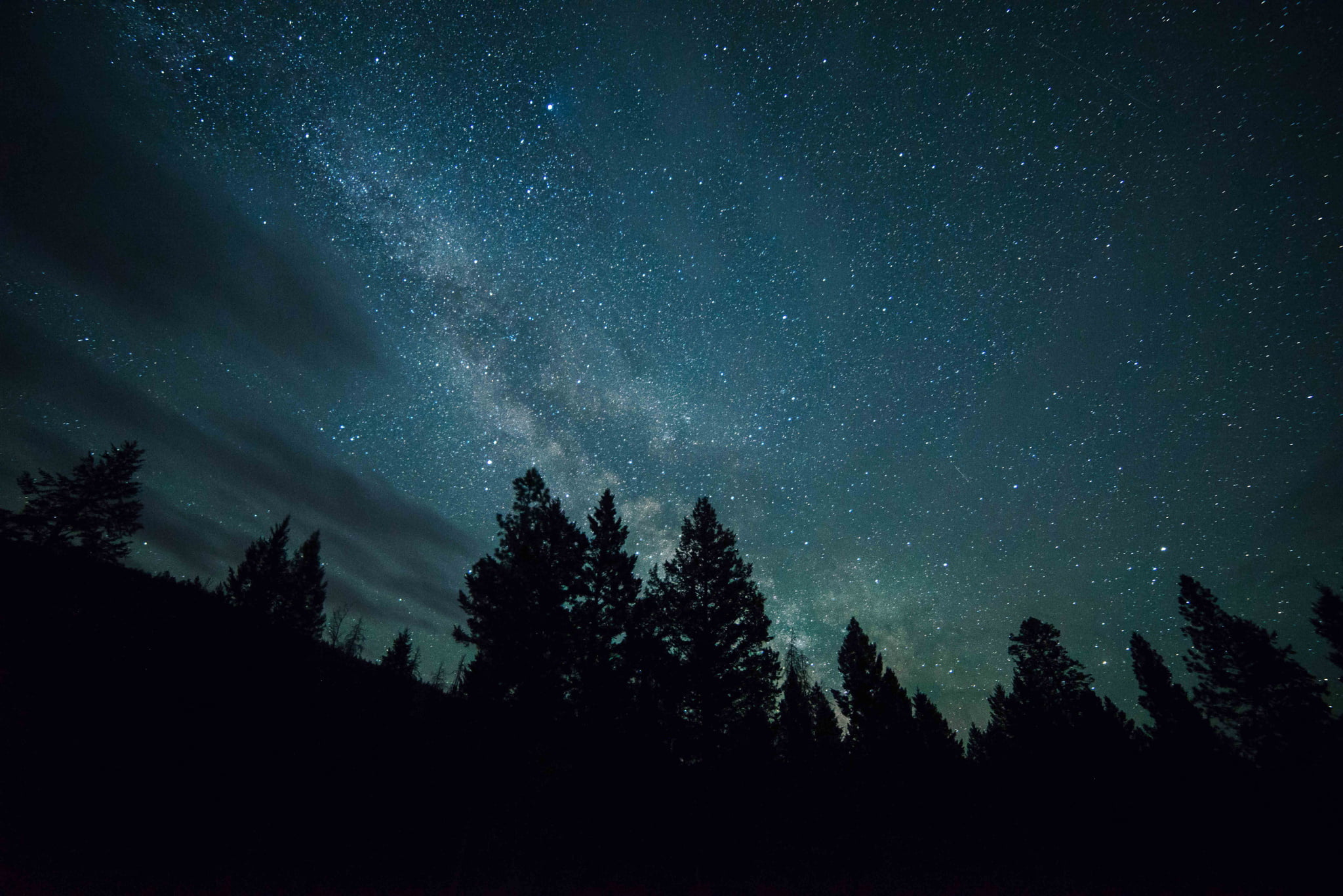 sky, coniferous tree, no People, mystery, tree, outdoors, astronomy, star Field, tranquility, star, star - Space, astrology, star Trail, milky Way, mountain, HD Wallpaper