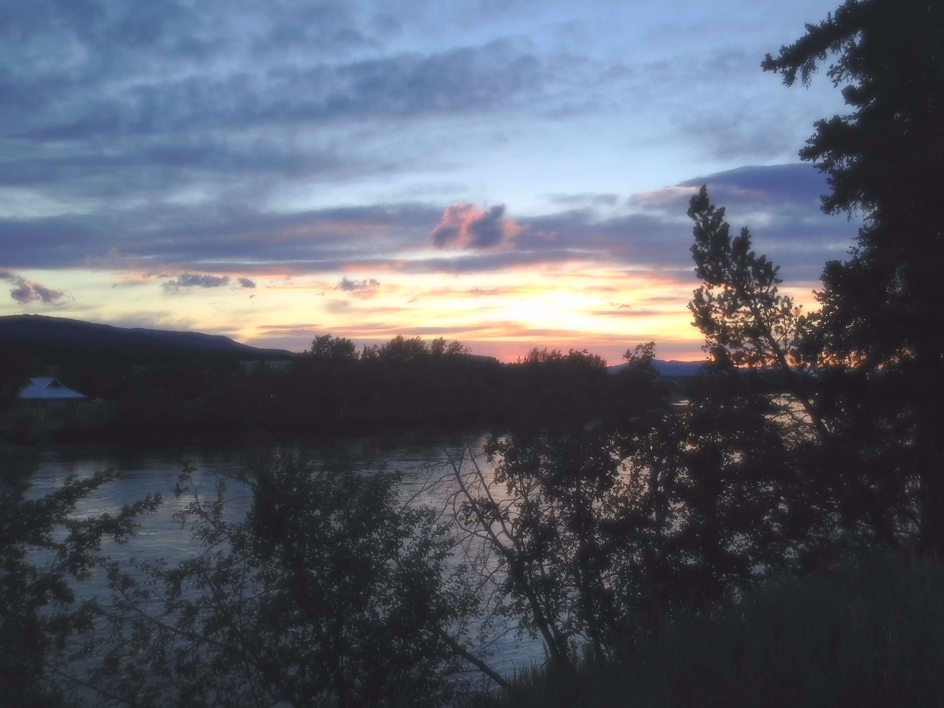 yukon, outdoors, silhouette, sunset, tree, 2K, beauty in nature, nature, idyllic, growth, tranquil scene, tranquility, trees, non-urban scene, water, reflection, HD Wallpaper
