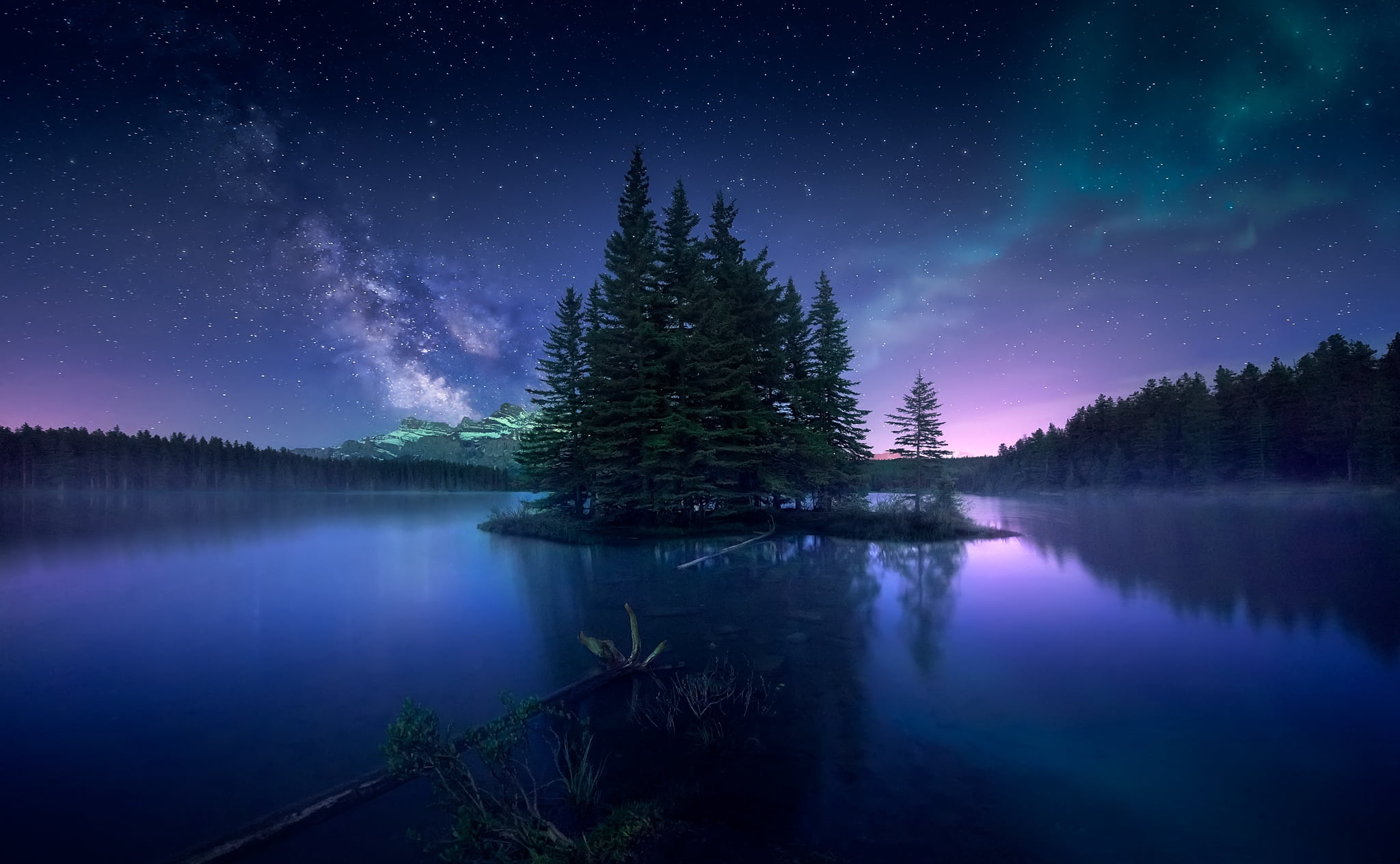 night, Canada, Northern lights, 1080P, forest, the sky, HD Wallpaper