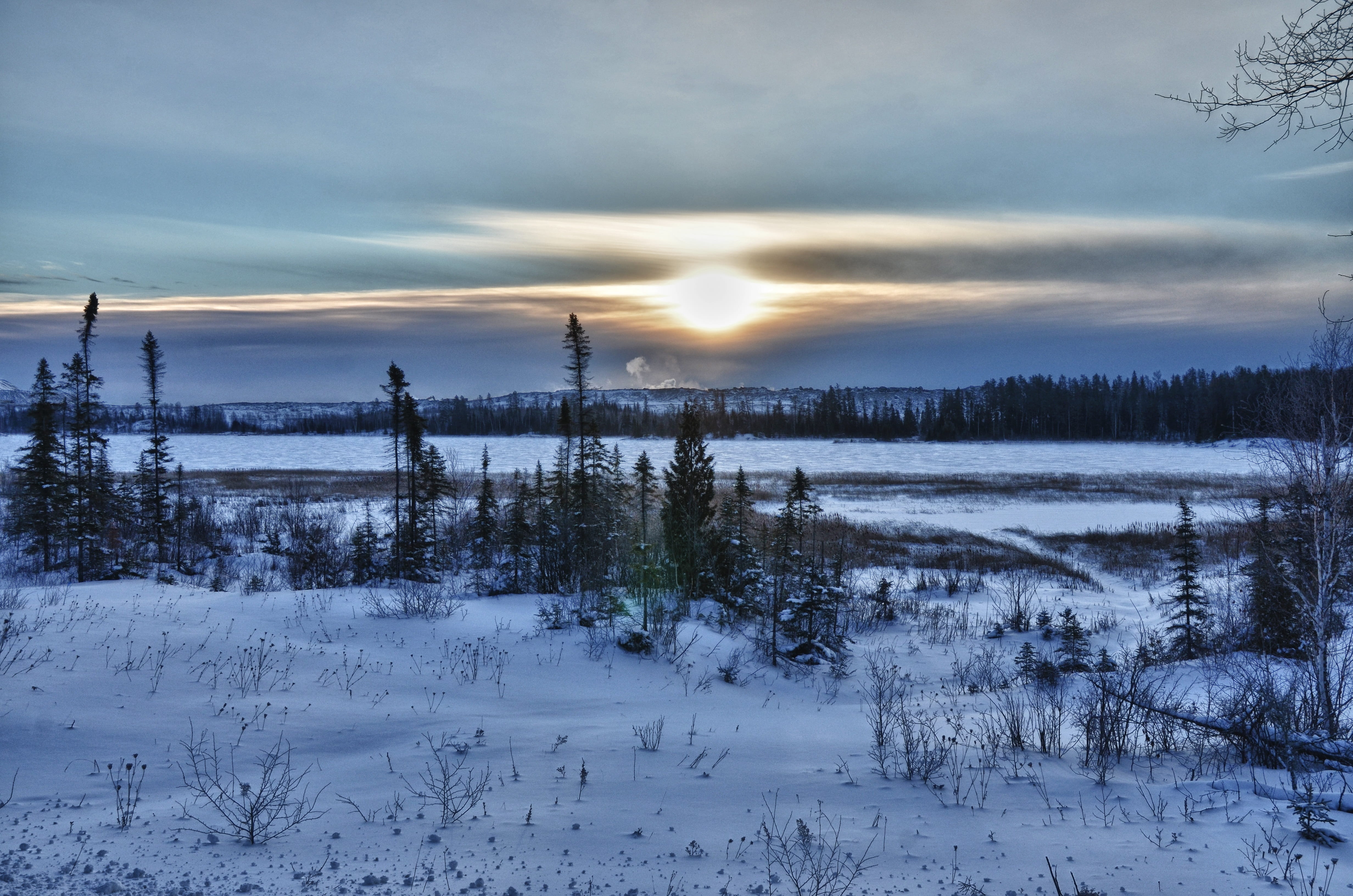 sunrise landscape, beauty in nature, weather, pine tree, outdoors, outdoor, Winter, scenics, plant, 4K, Canada, frost, coniferous tree, sky, scenics - nature, HD Wallpaper