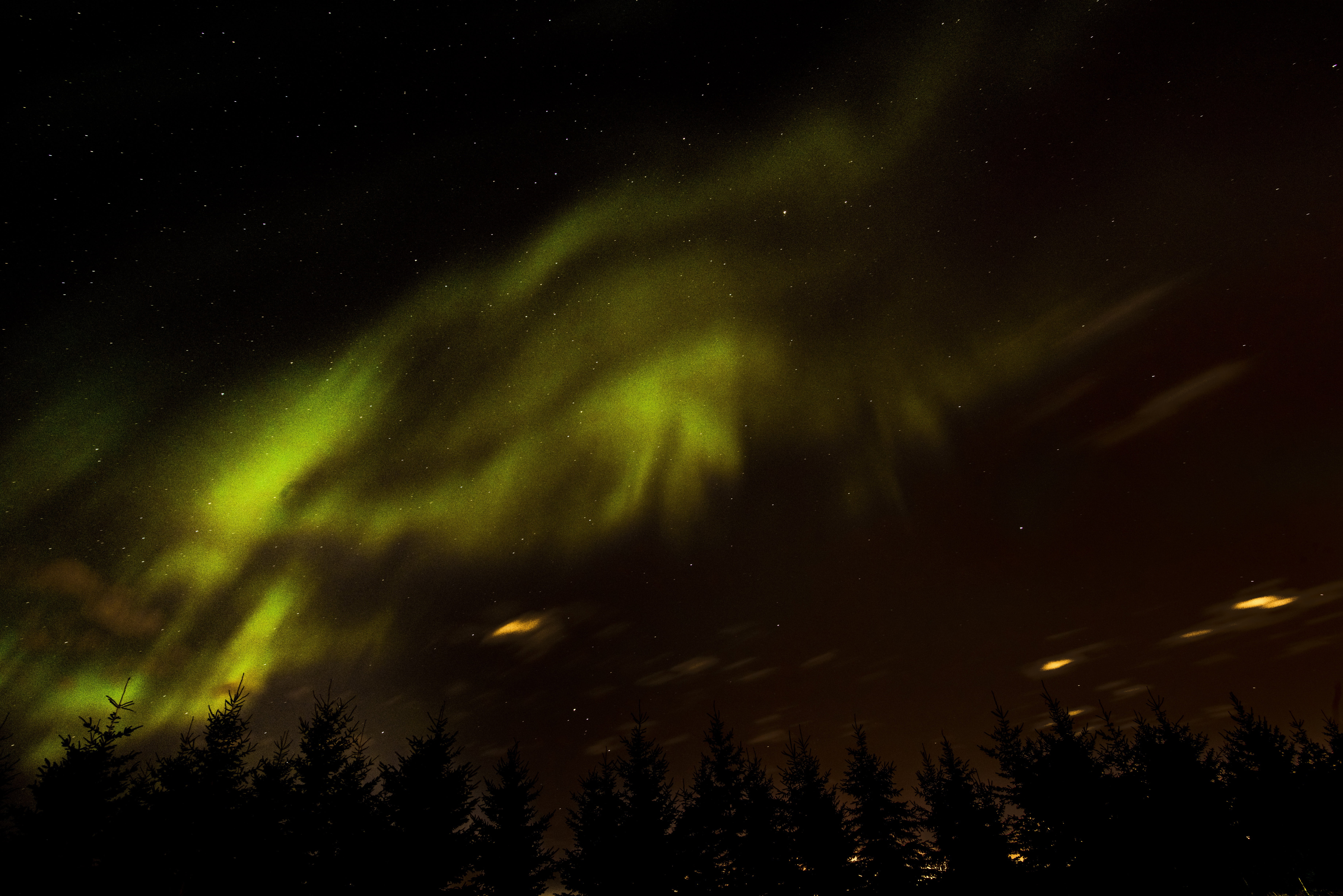 trees, prairies, astronomy, star - space, illuminated, leafed, borealis, landscape, green color, space, beauty in nature, space and astronomy, no people, HD Wallpaper